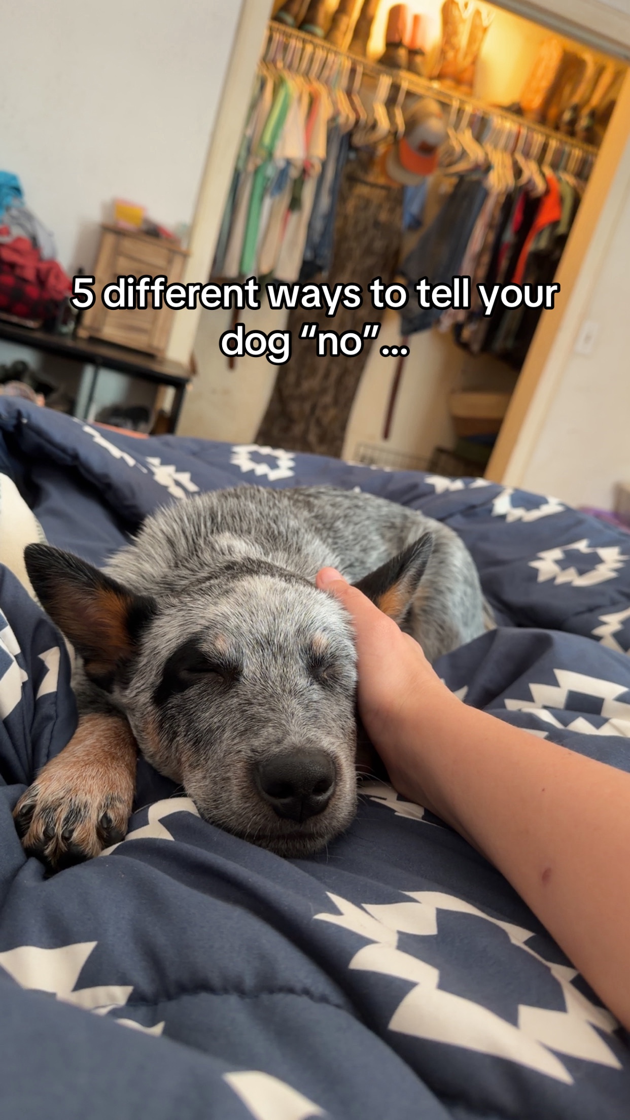 @dozer 🐾💞