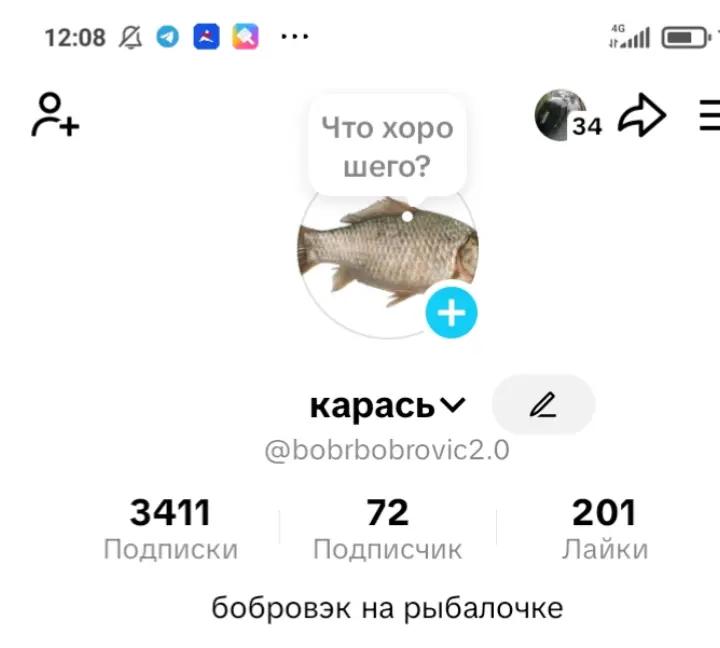 @карась