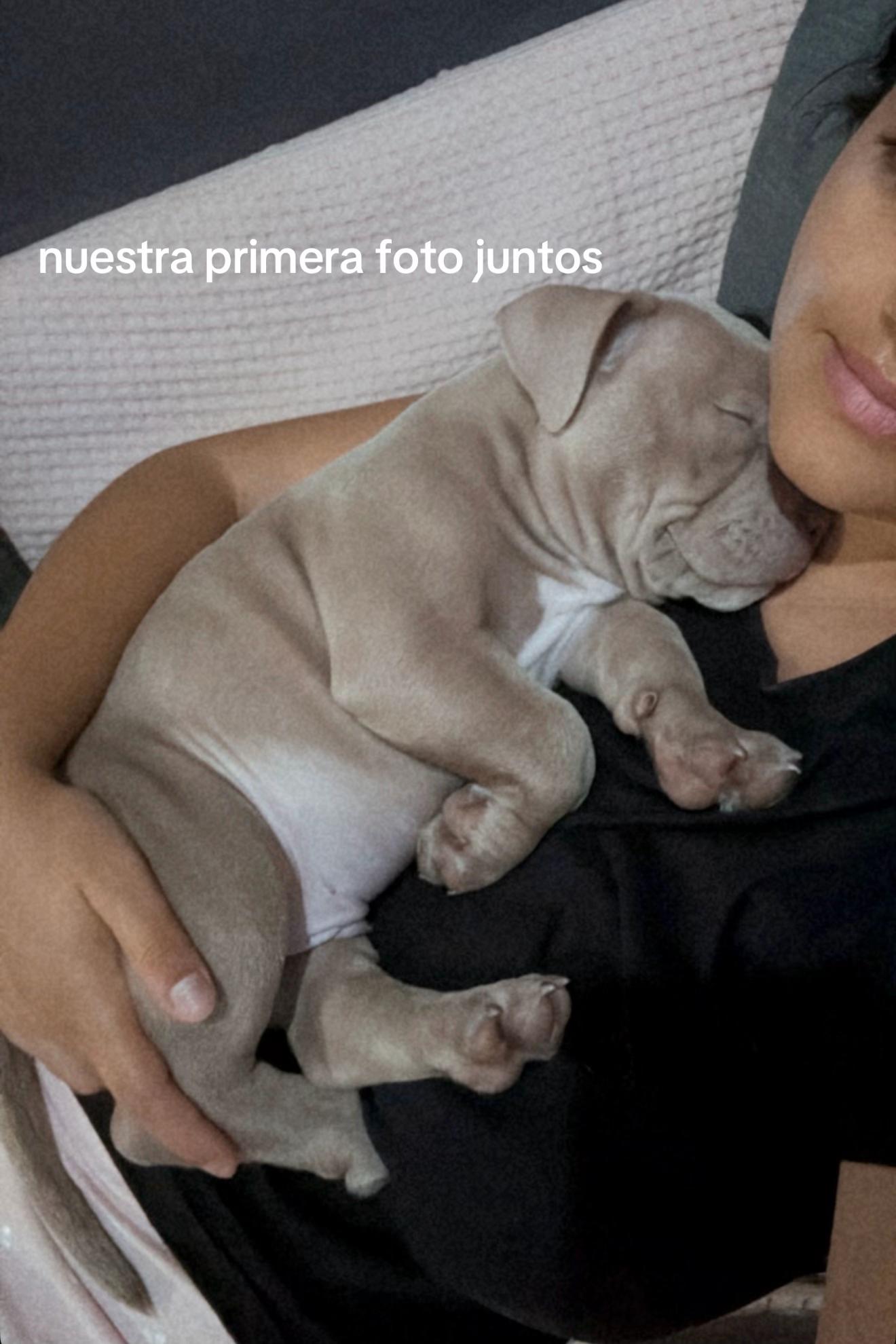 @la.traviesoo