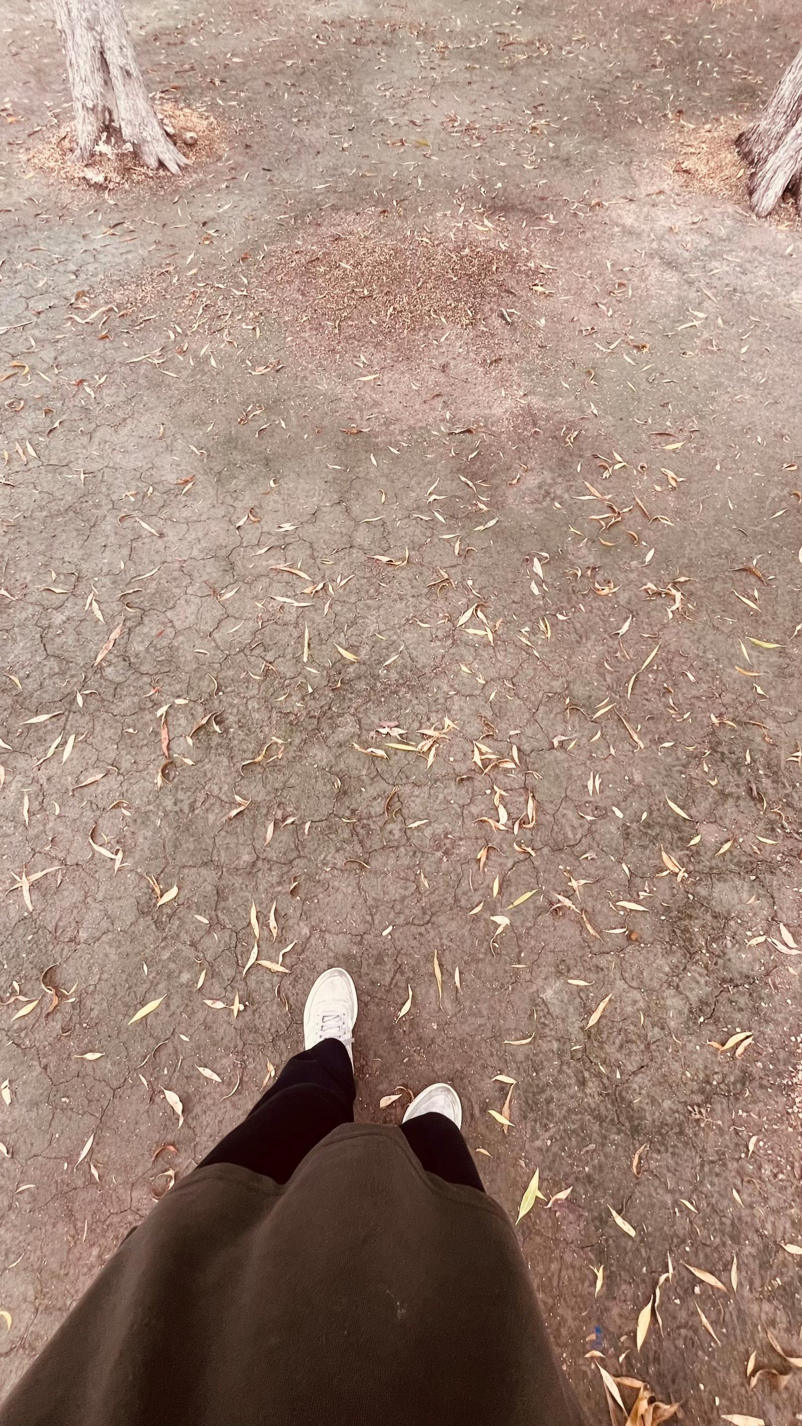 @𝓐ᥫ᭡.𝓐ᥫ᭡