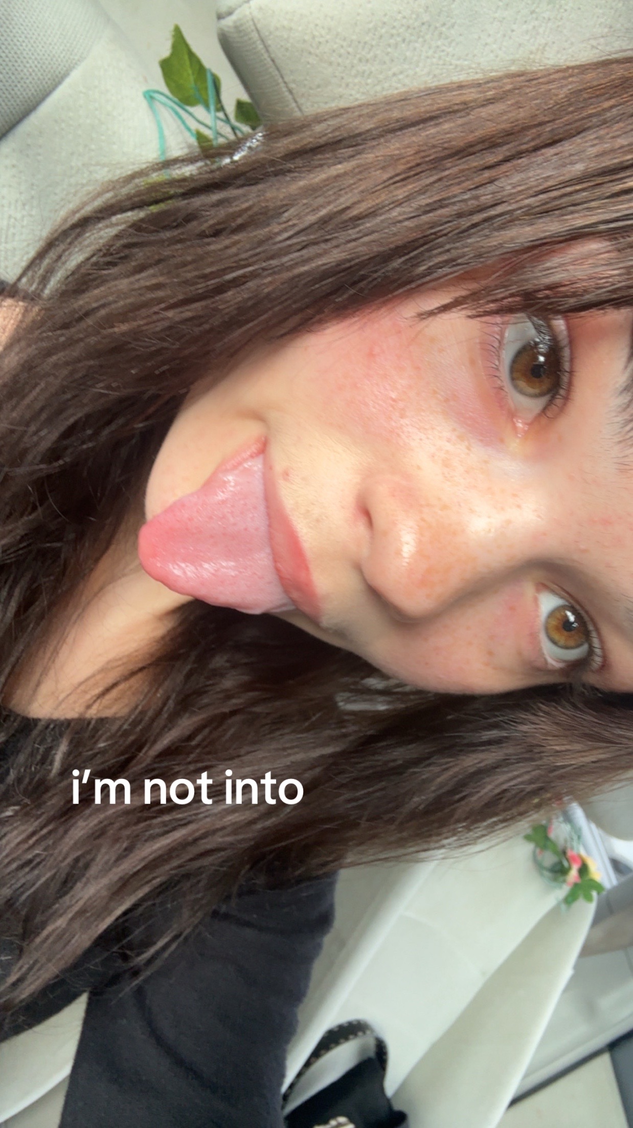 @lilybug