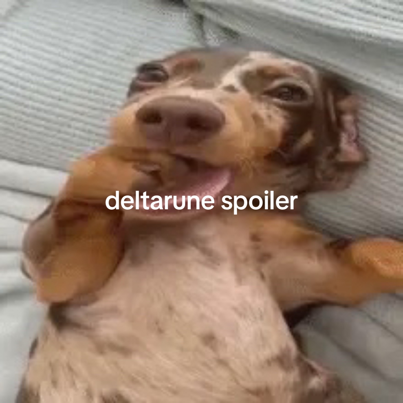 @el yeto jones