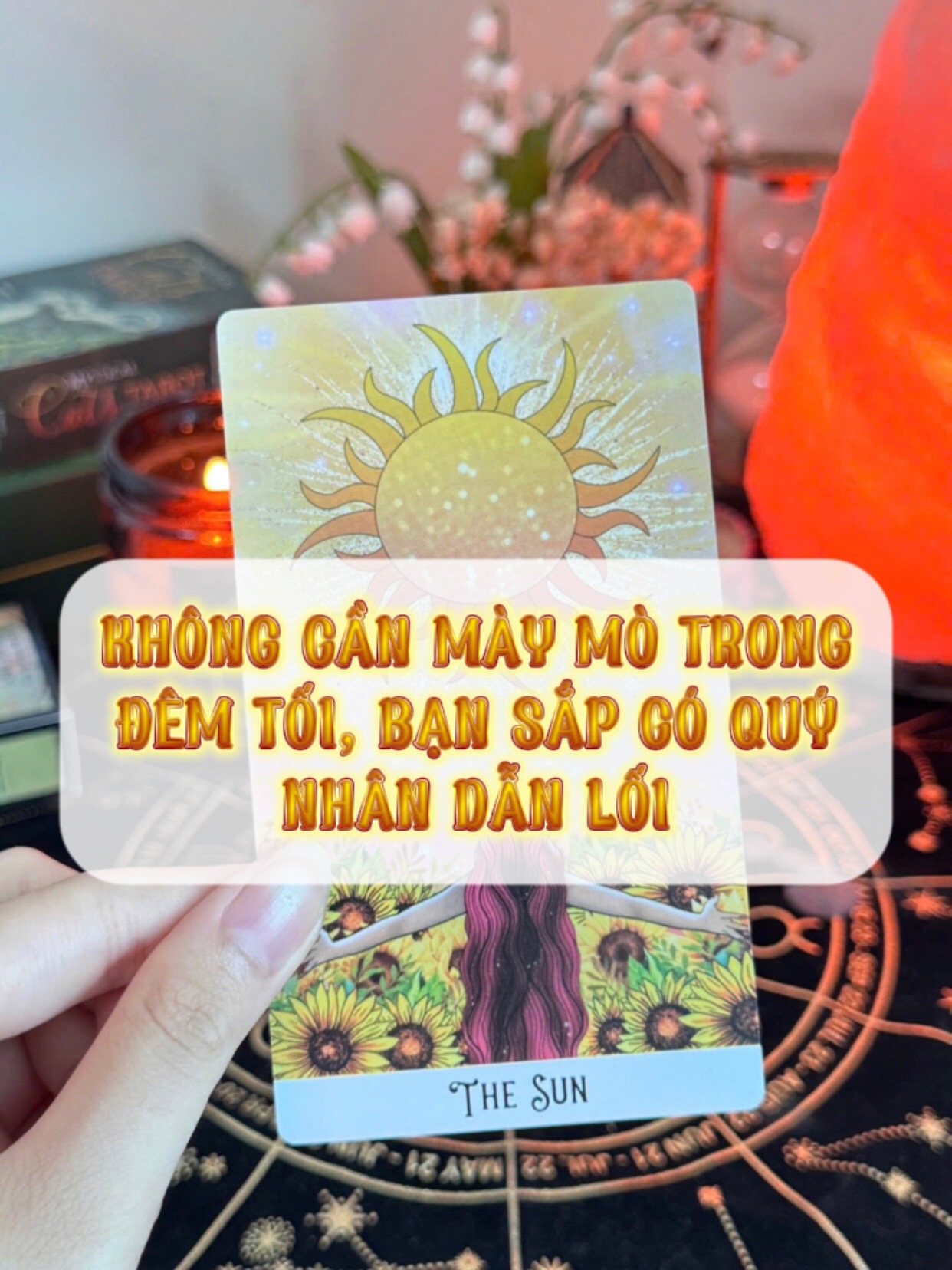 @Phytarot 𓍢ִ໋🍯ྀིྀིྀིྀི
