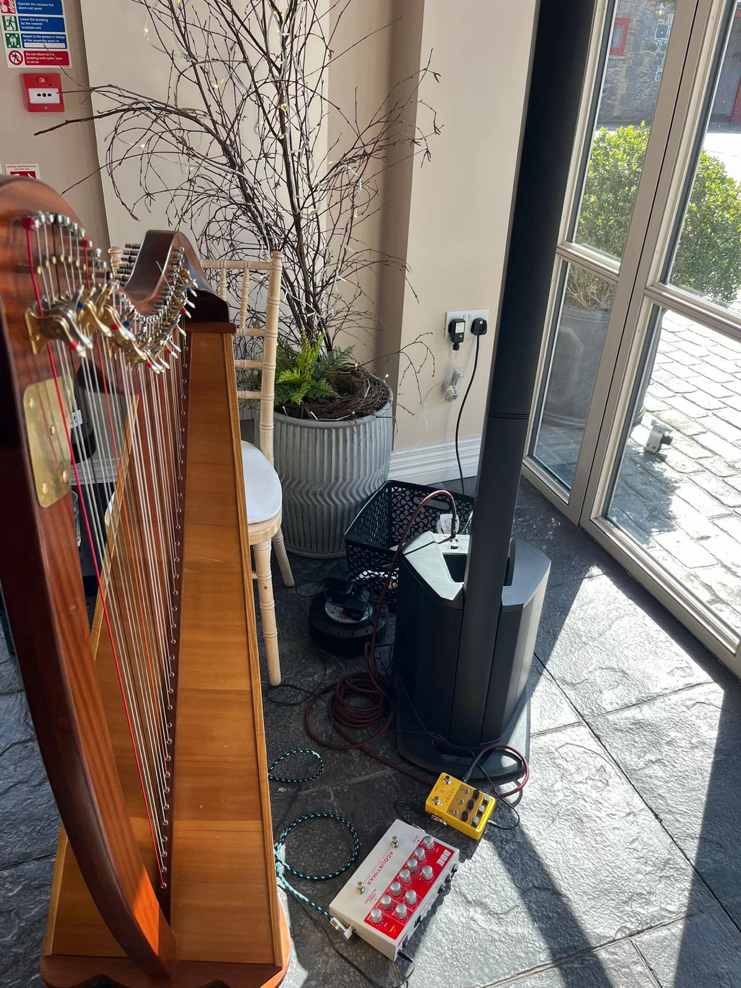 @Harpist-Maria Boyle