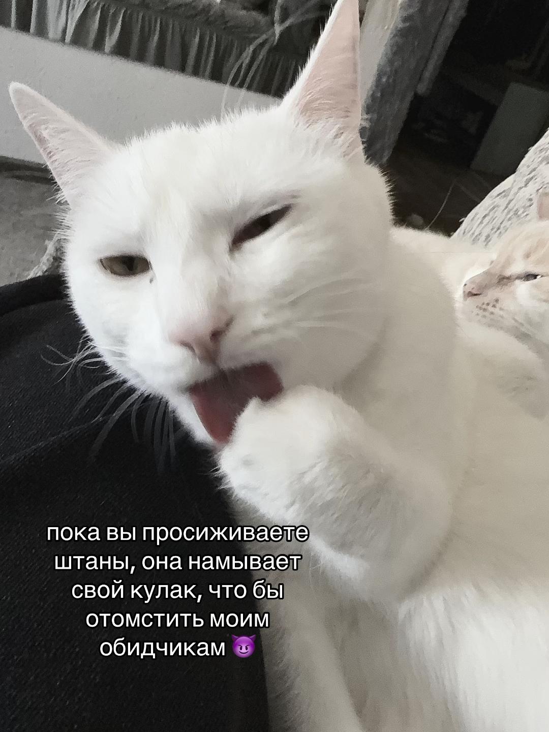 @lizzwiththerizz༒