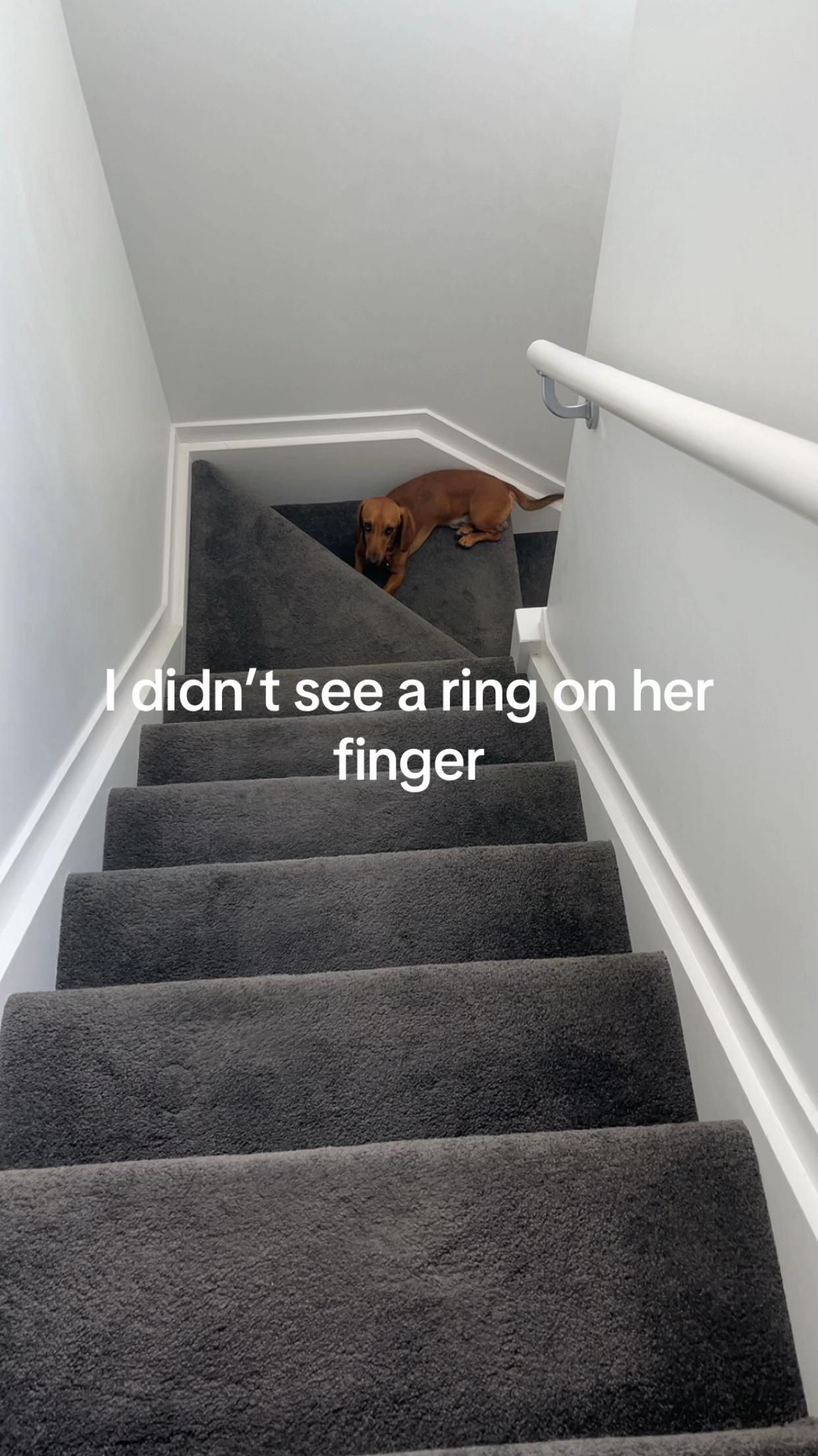 @Lanéé