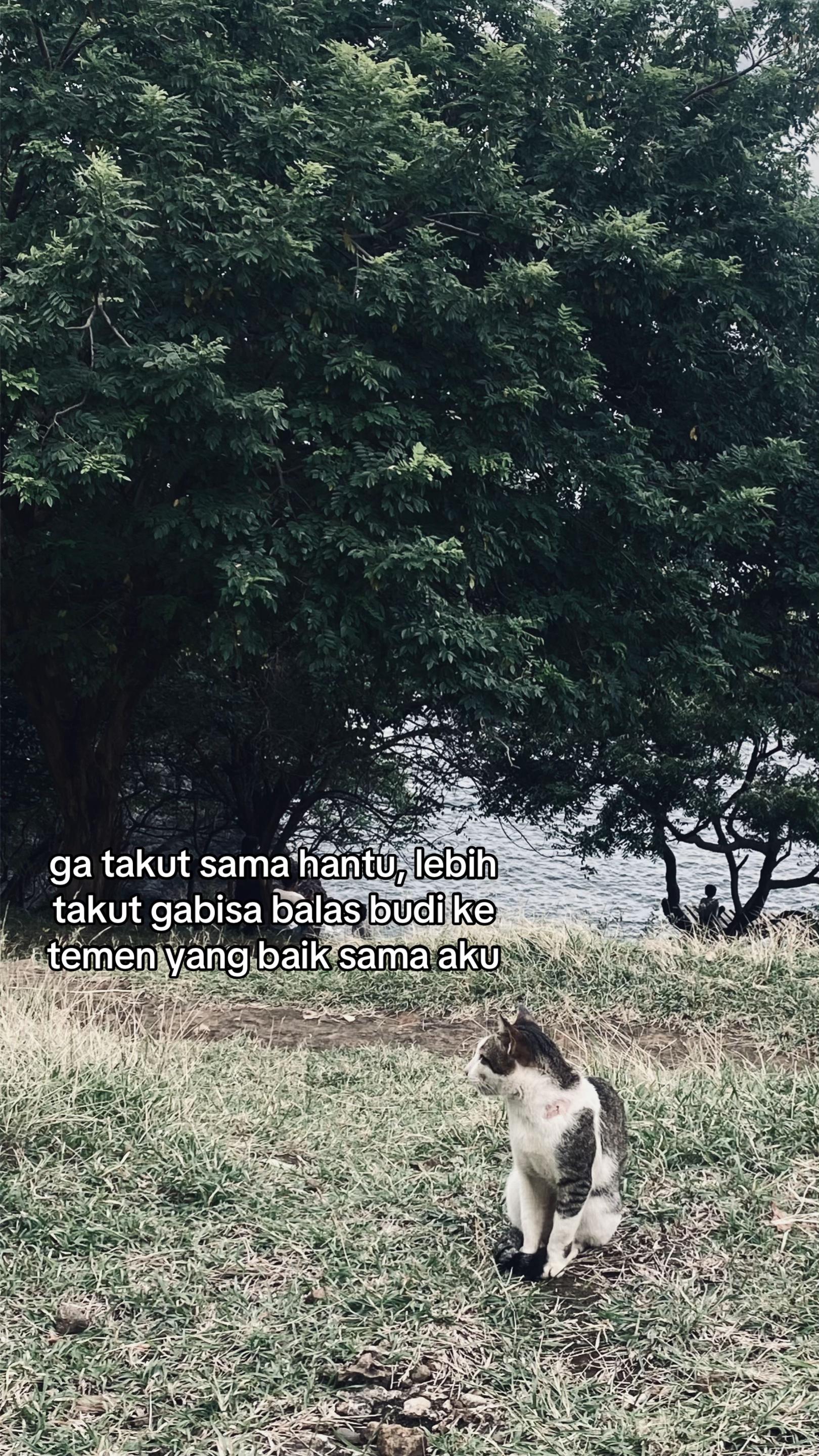 @𝐒𝐢𝐝𝐞𝐛𝐲𝐛𝐫𝐨