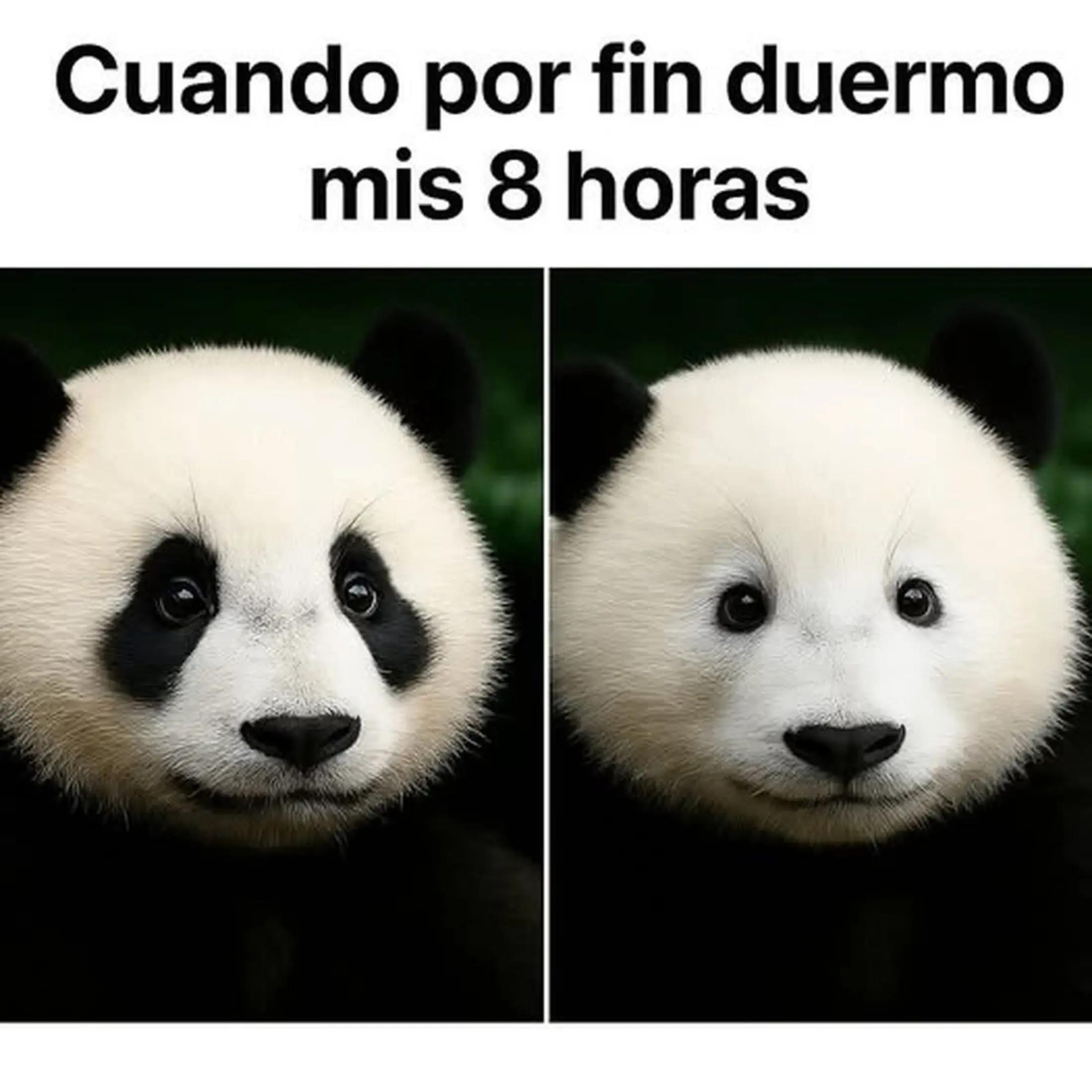 @sarita