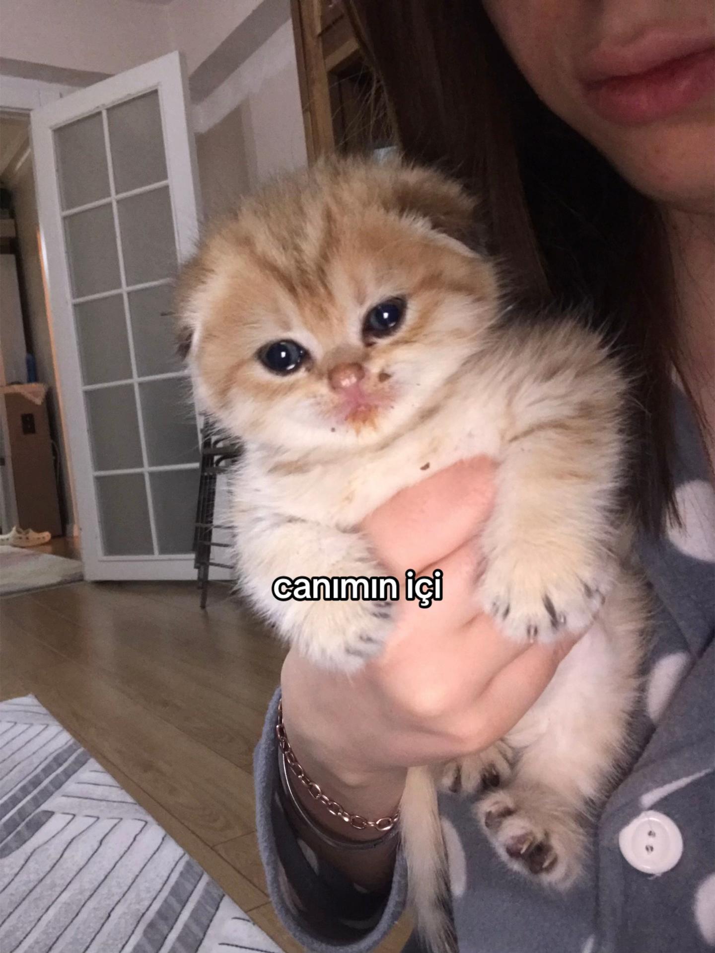 @𝓜𝓮𝓻𝓿𝓮🦢