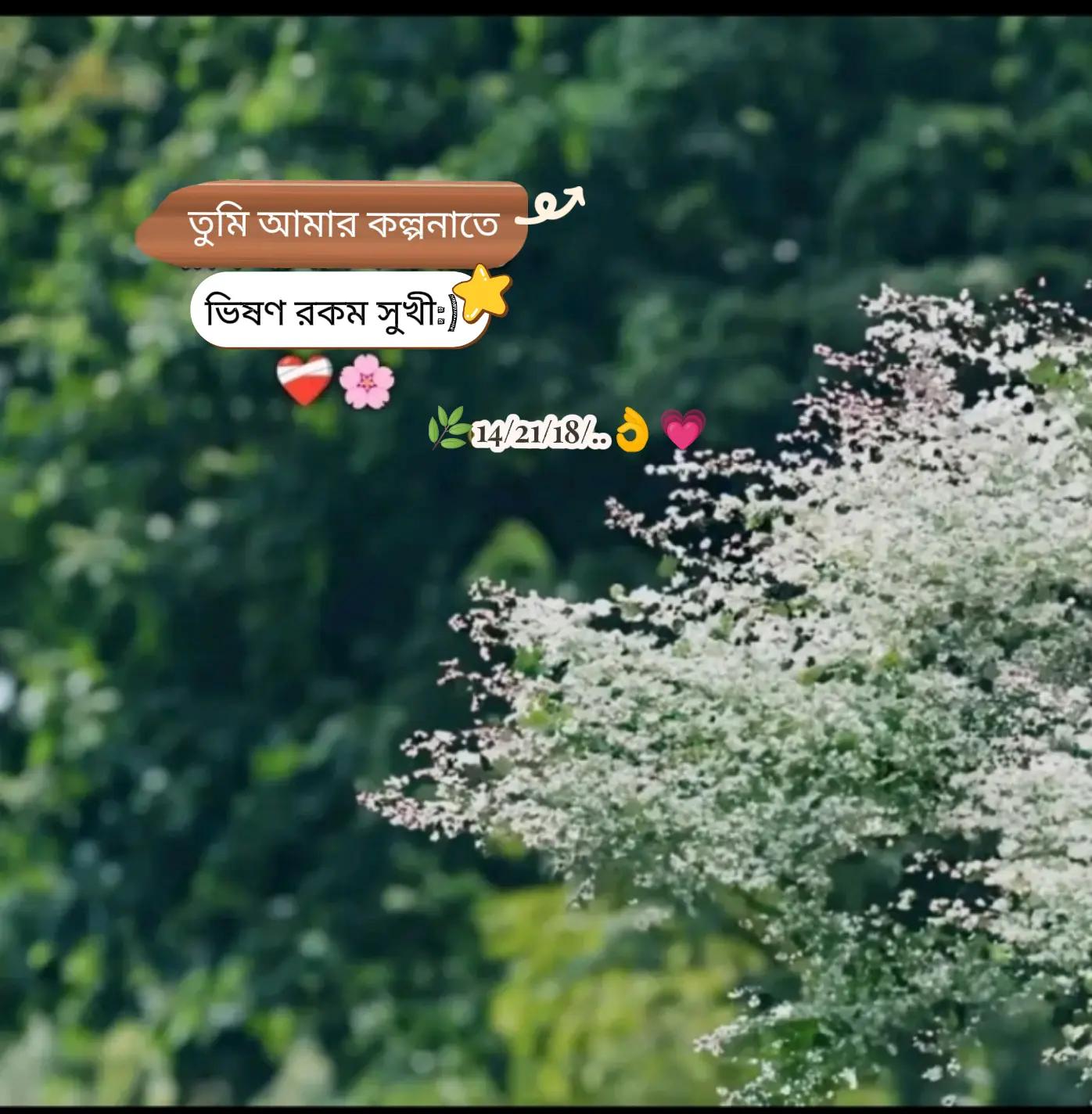 @মিথ্যা হাসির অপূর্ব মায়াツ🌿