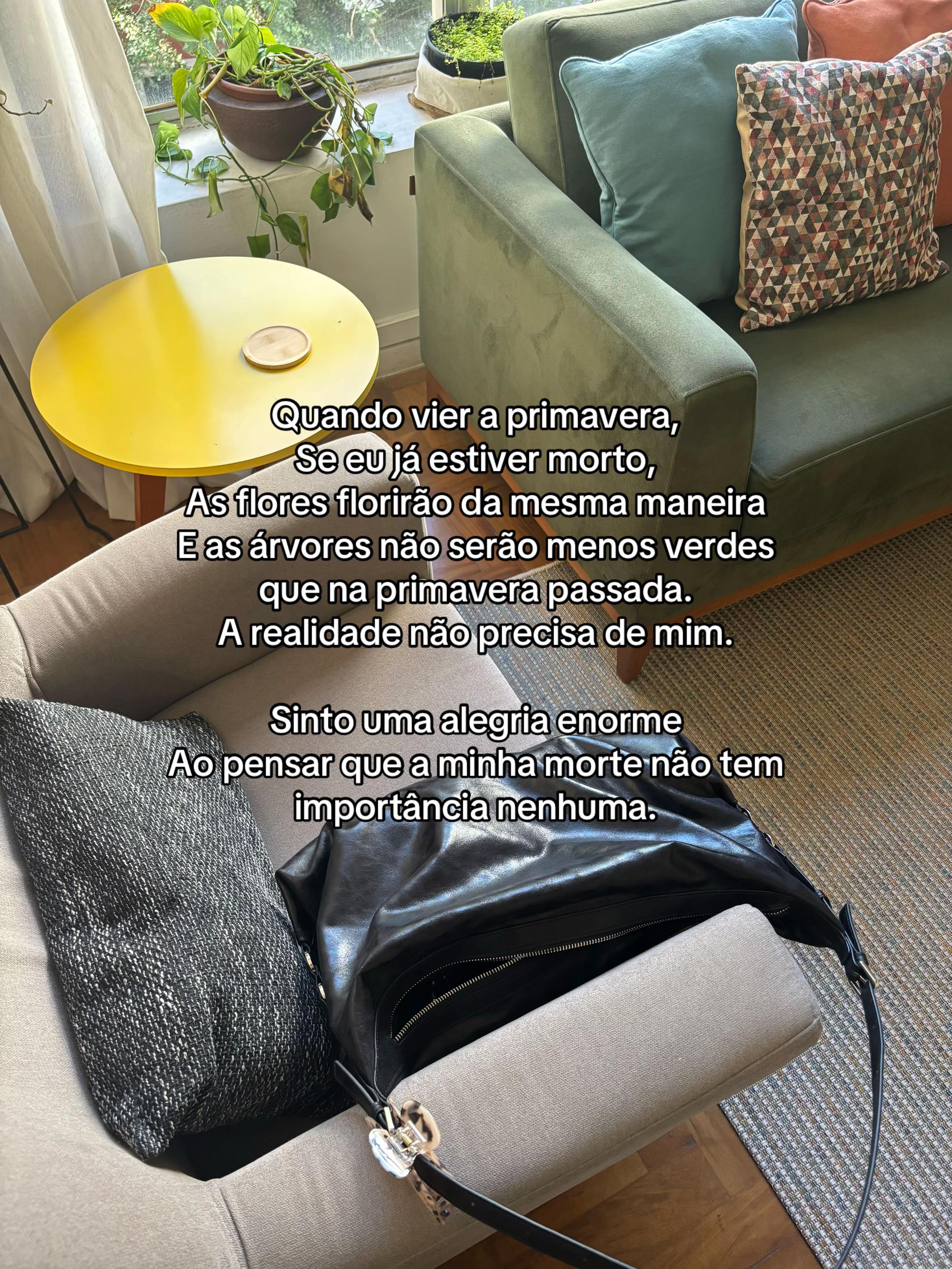 @clara moreira ✷