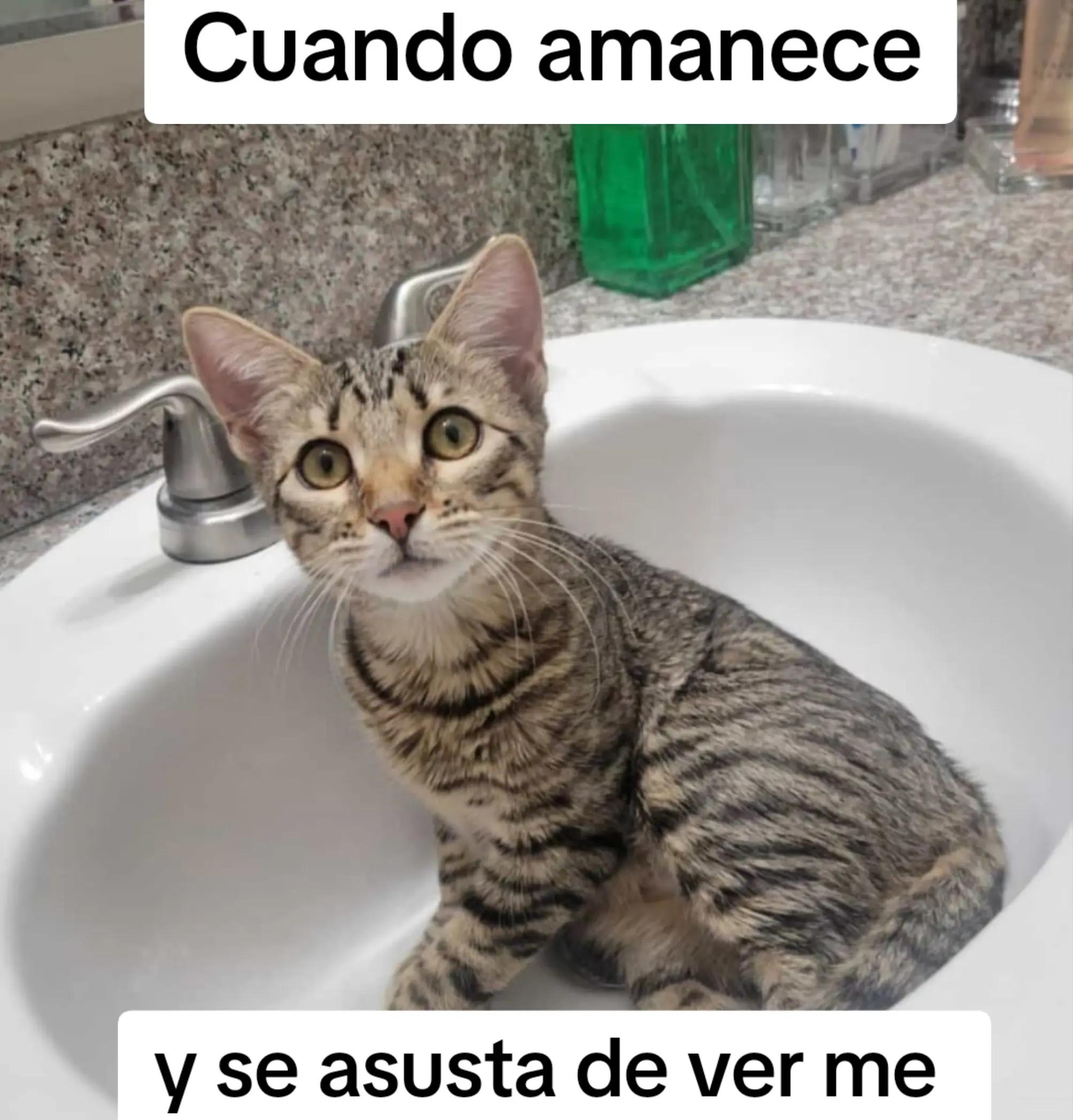 @Andreina