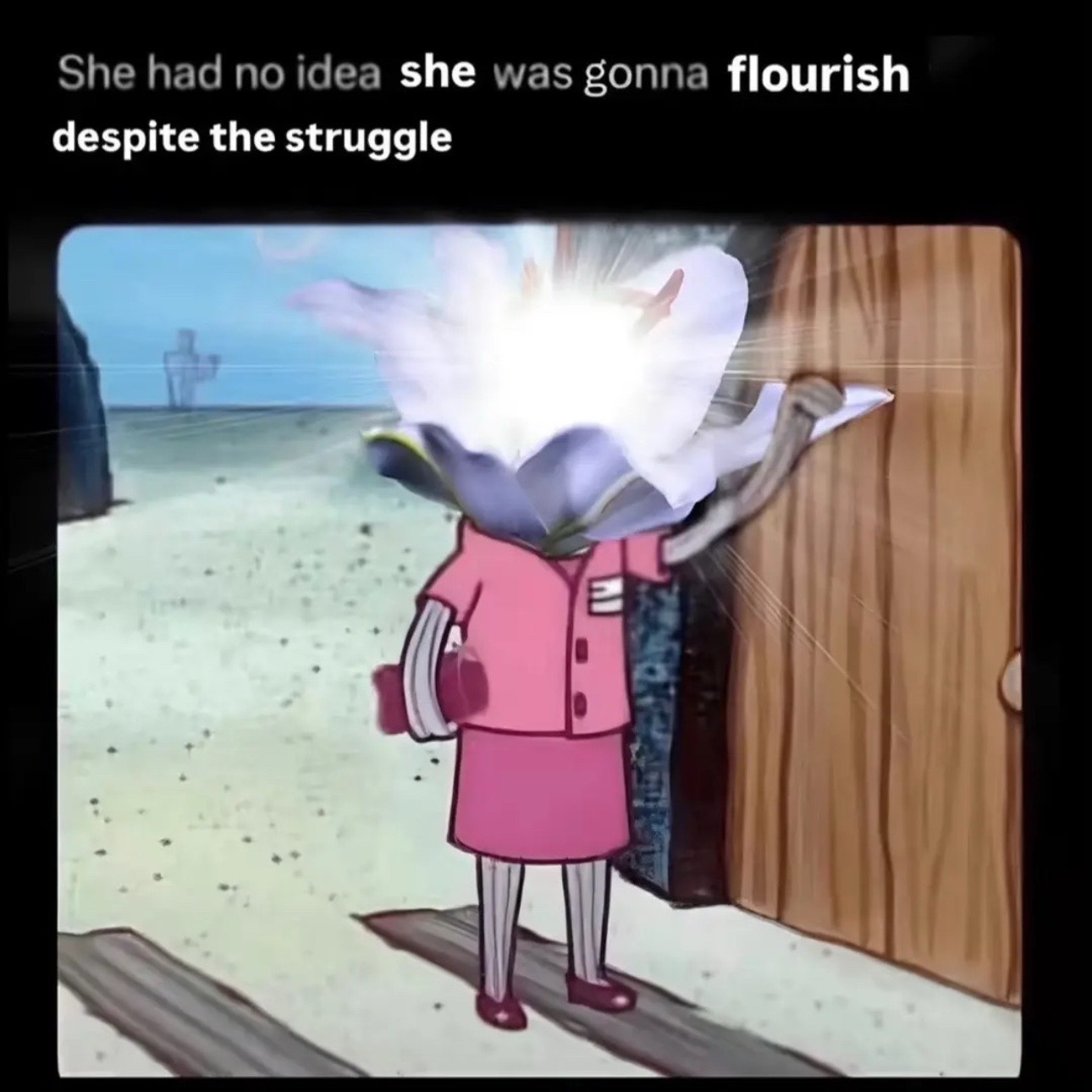 @merpz33