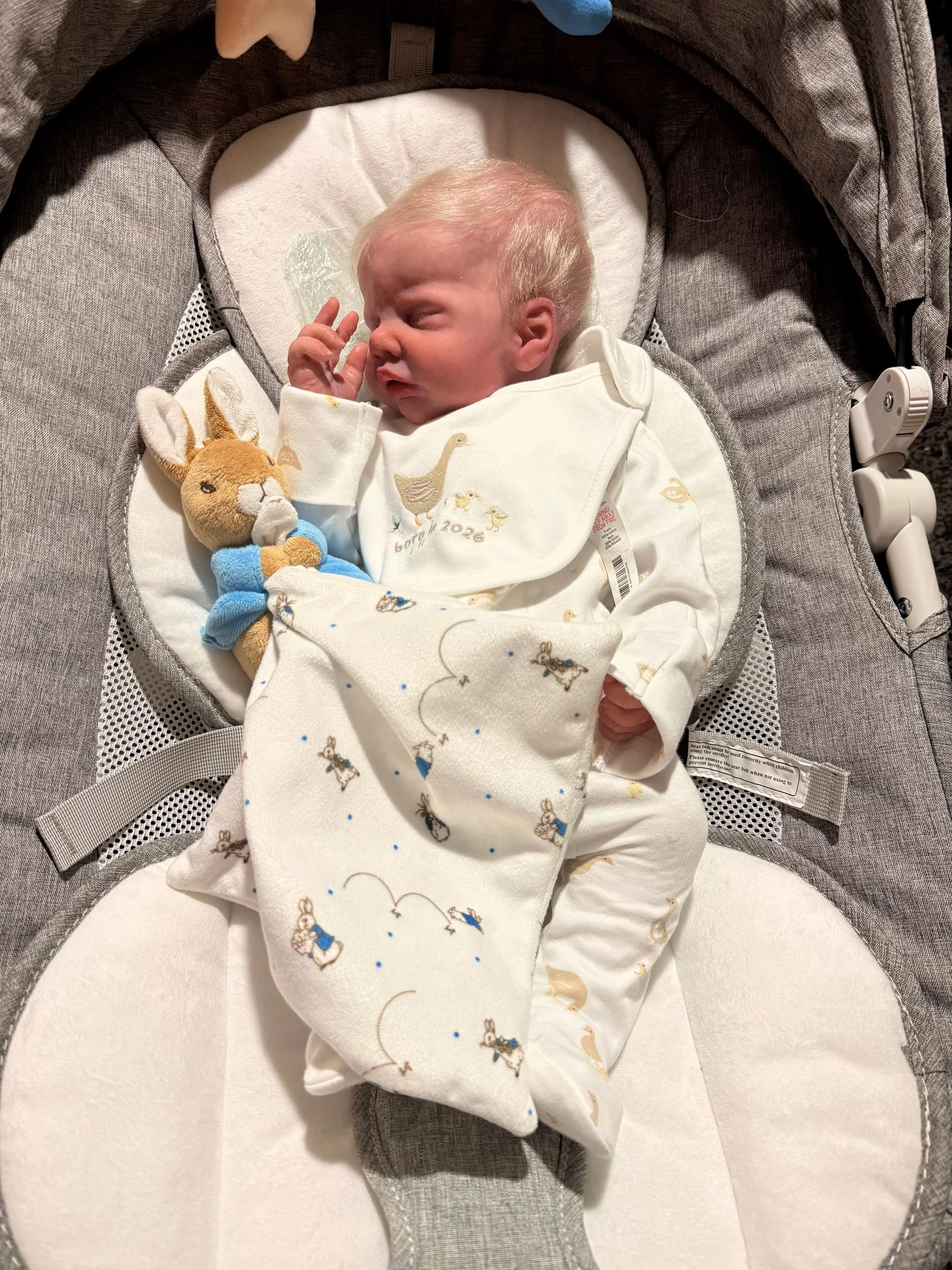 @Emma De-Ville🦋/MH-Reborn-mum