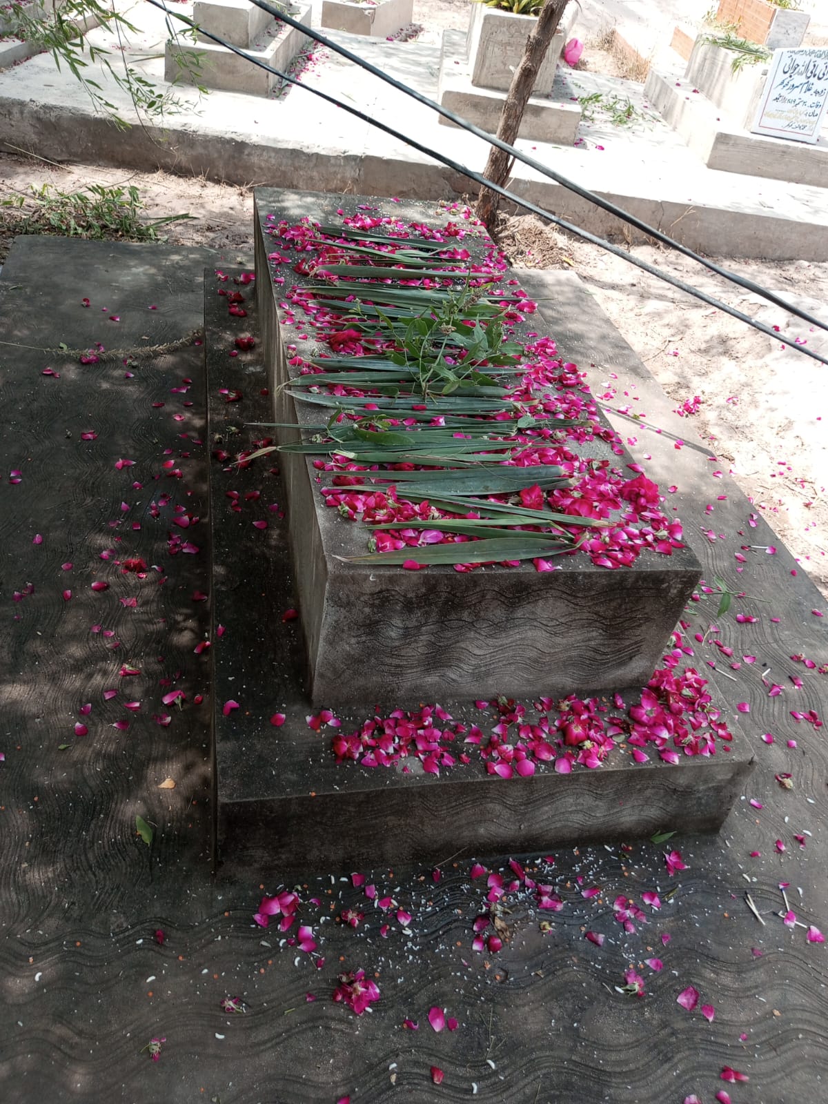 @M Ahsan 786