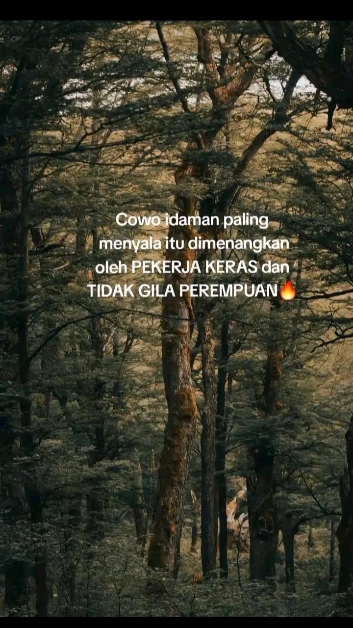 @SherinPontoh