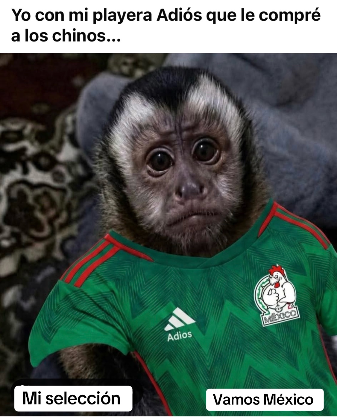 @Reporte-ando