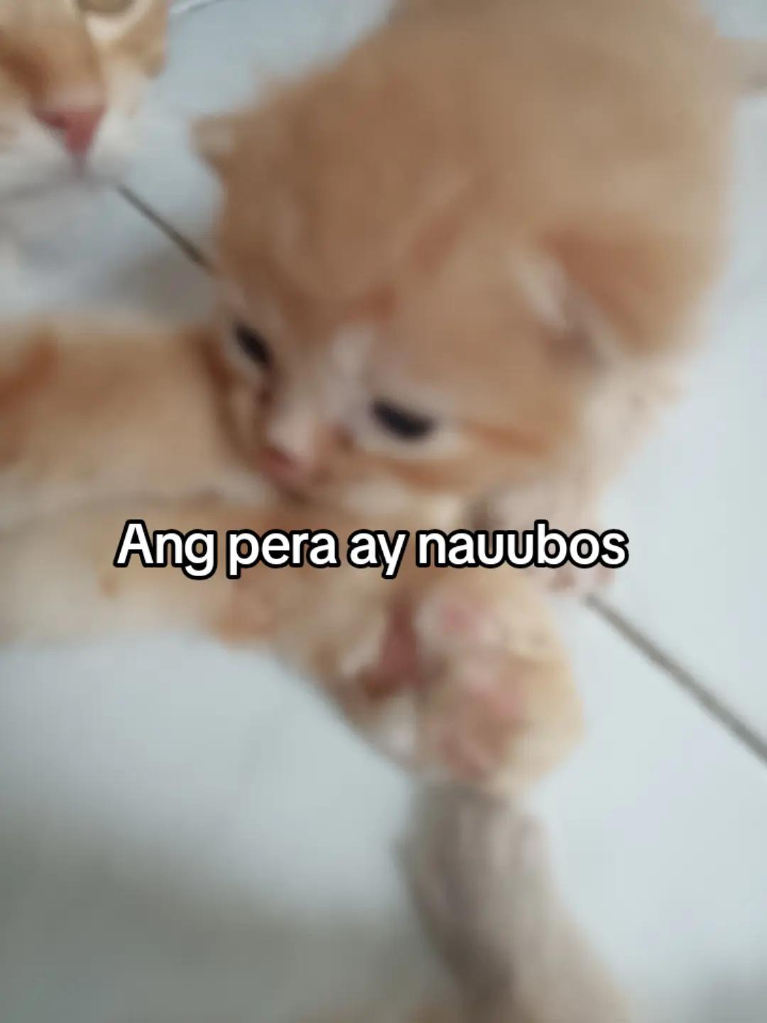 @Ma is Te is O