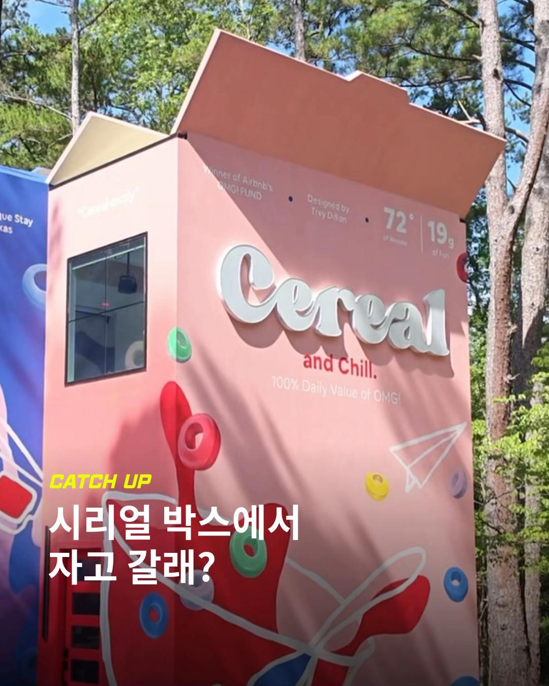@이슈&트렌드 | 케찹