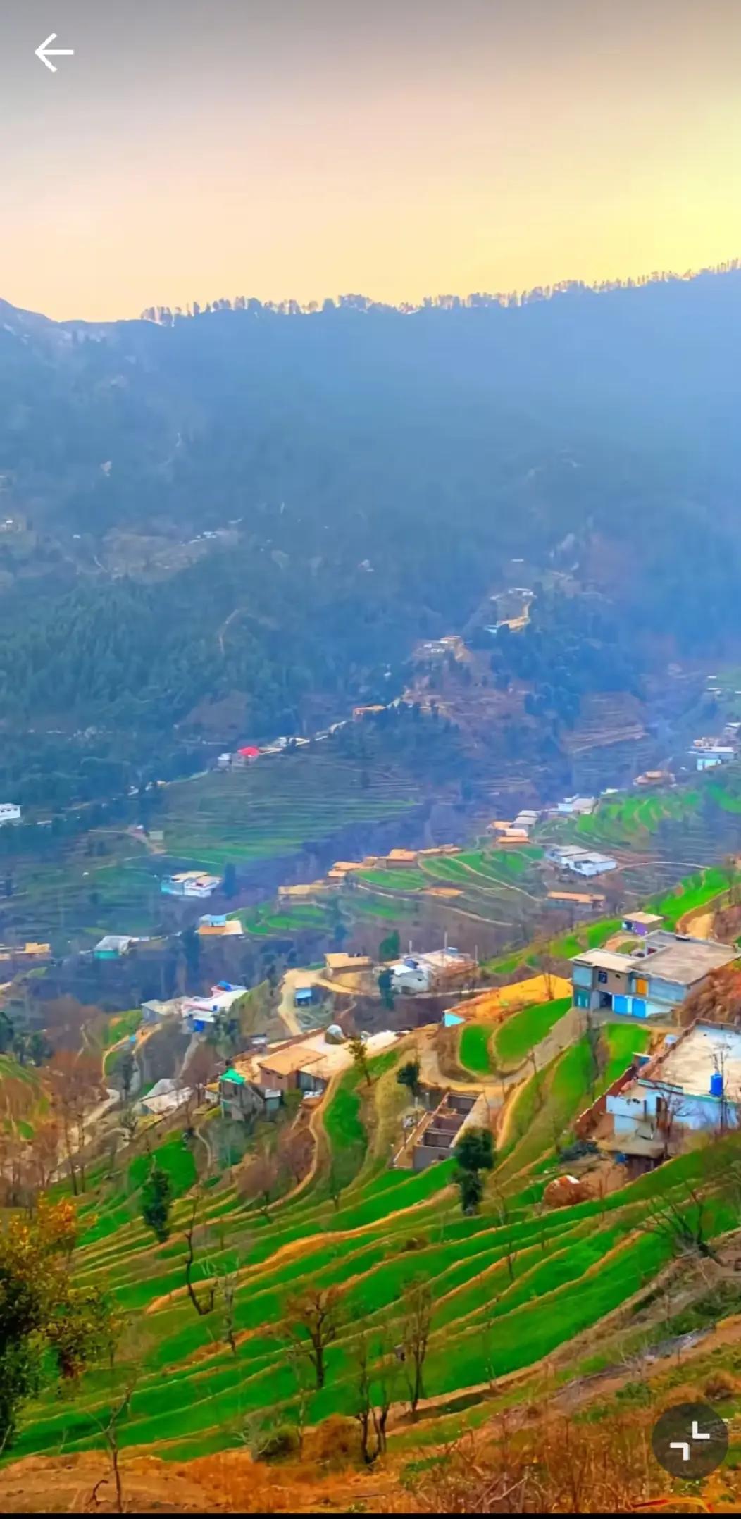 @🌲غر سنے 🌲