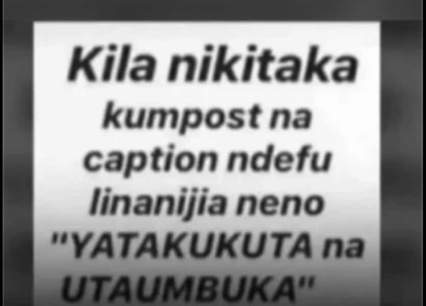@Meme tz