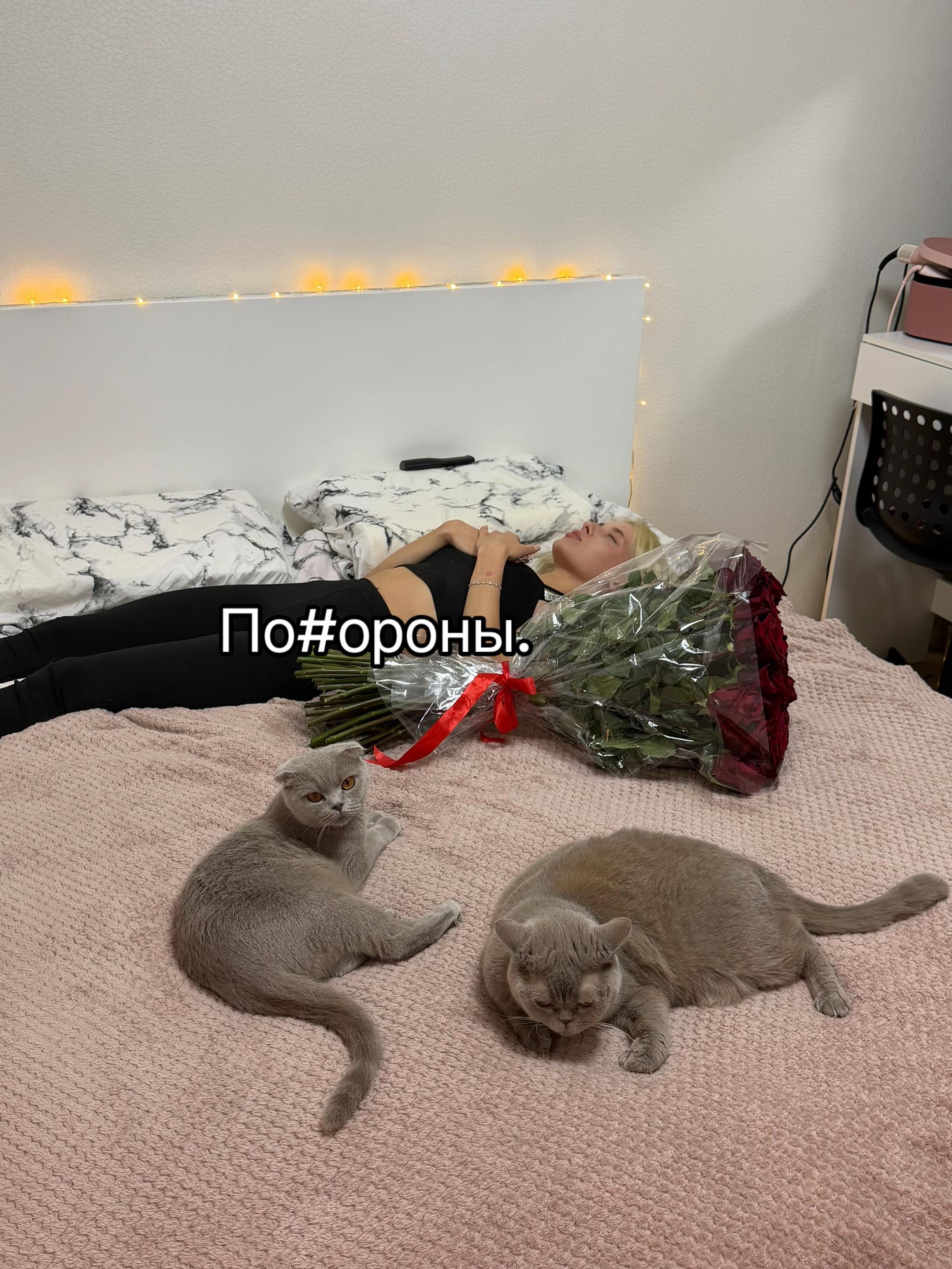 @twitch: bogyasha