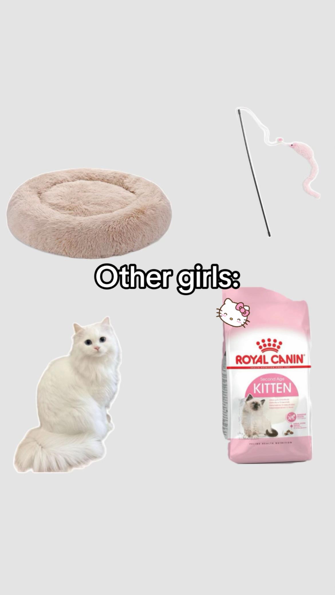 @veronichka🌷