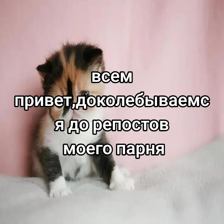 @сюся