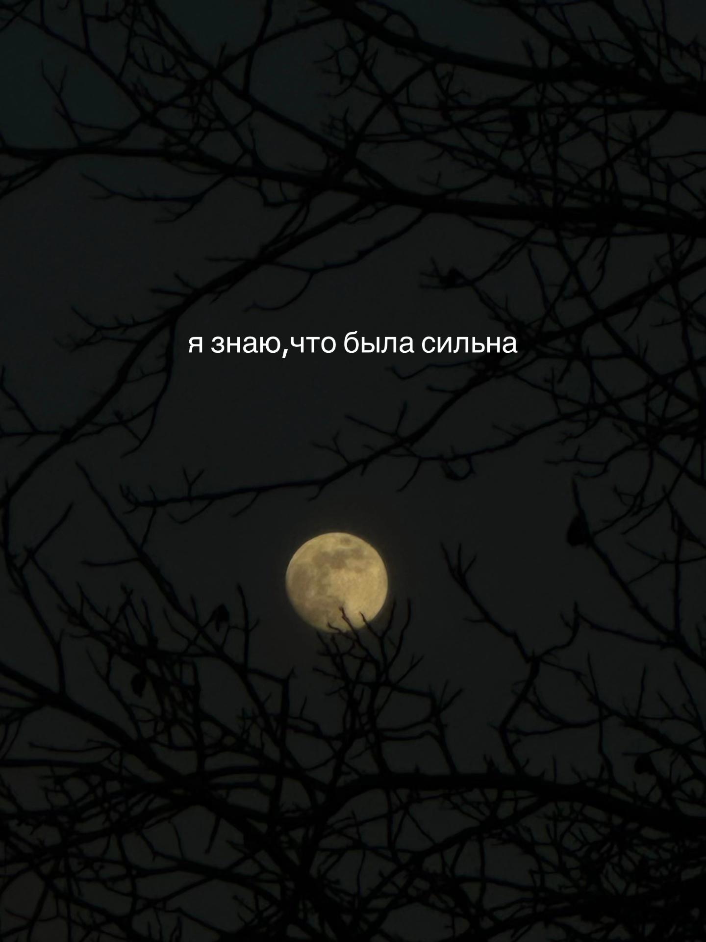 @𝔂𝓲𝔃𝓲𝓼𝓱𝓴ྀི