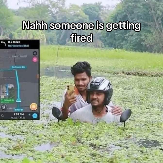 @finddidida