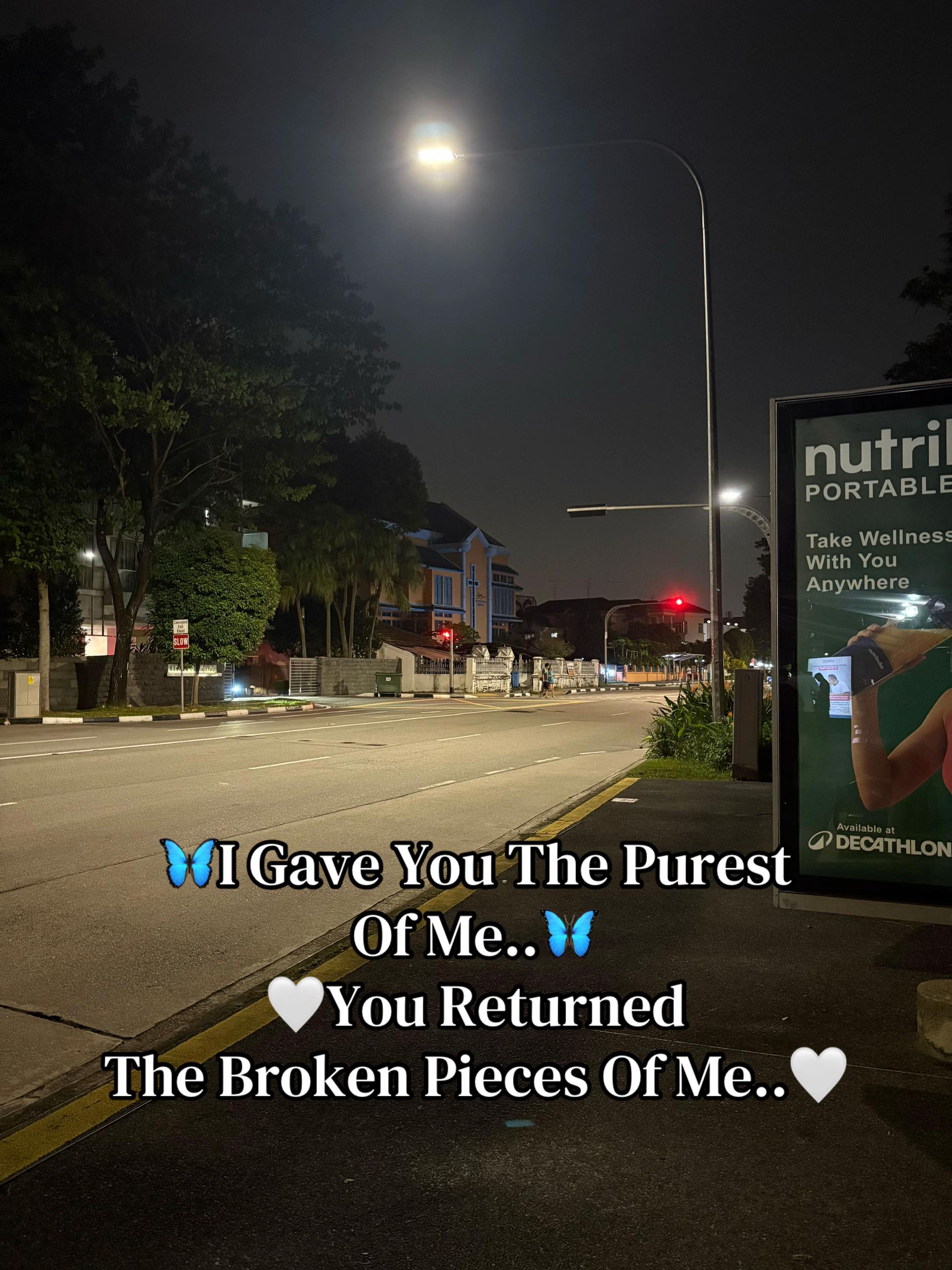@🤍🦋𝔖𝔥𝔞𝔞𝔶𝔲𝔯𝔞𝔞🦋🤍