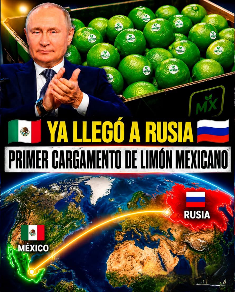 @нєℓєηα вєηηєтт🇲🇽