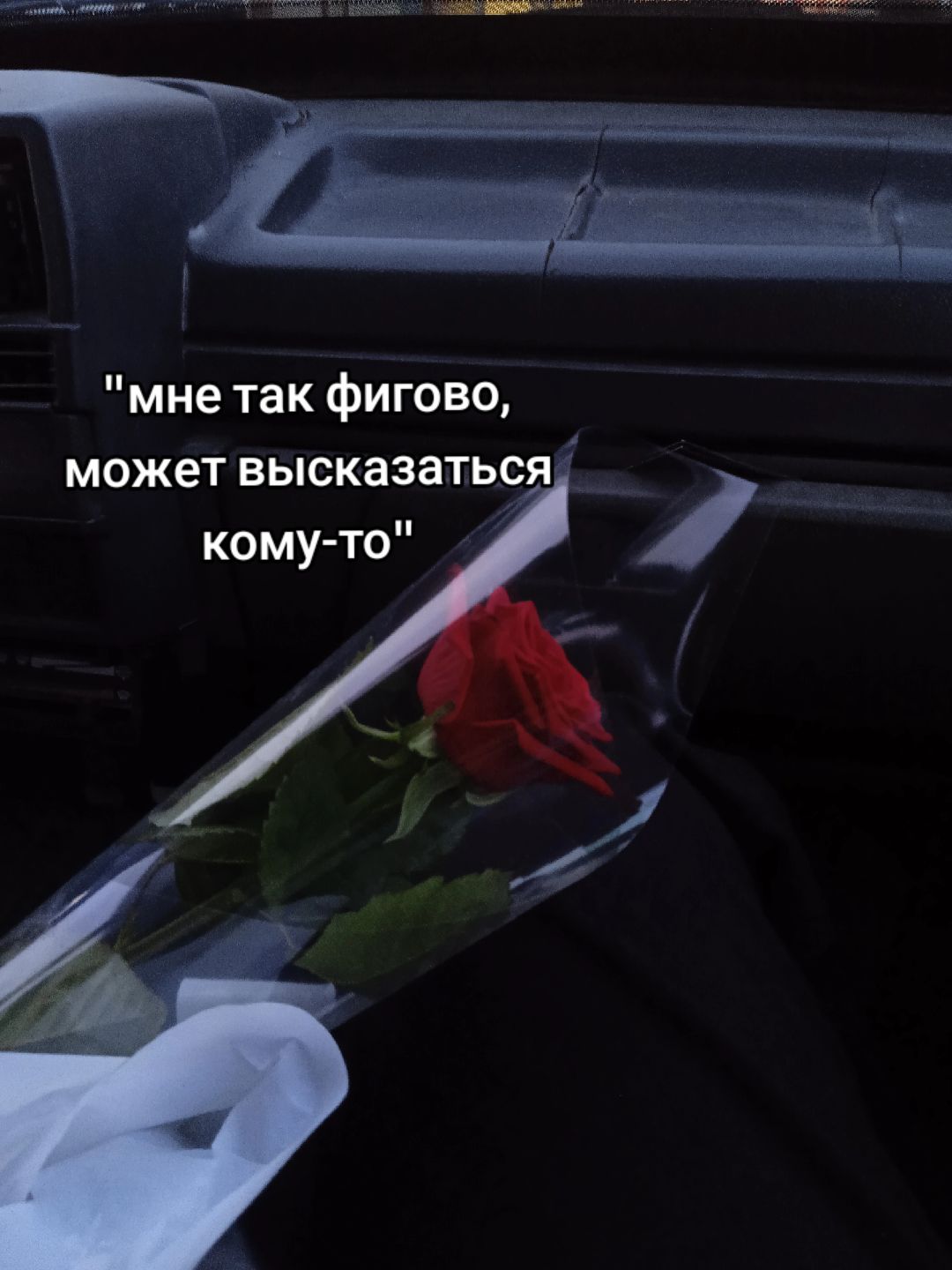@хз🙊