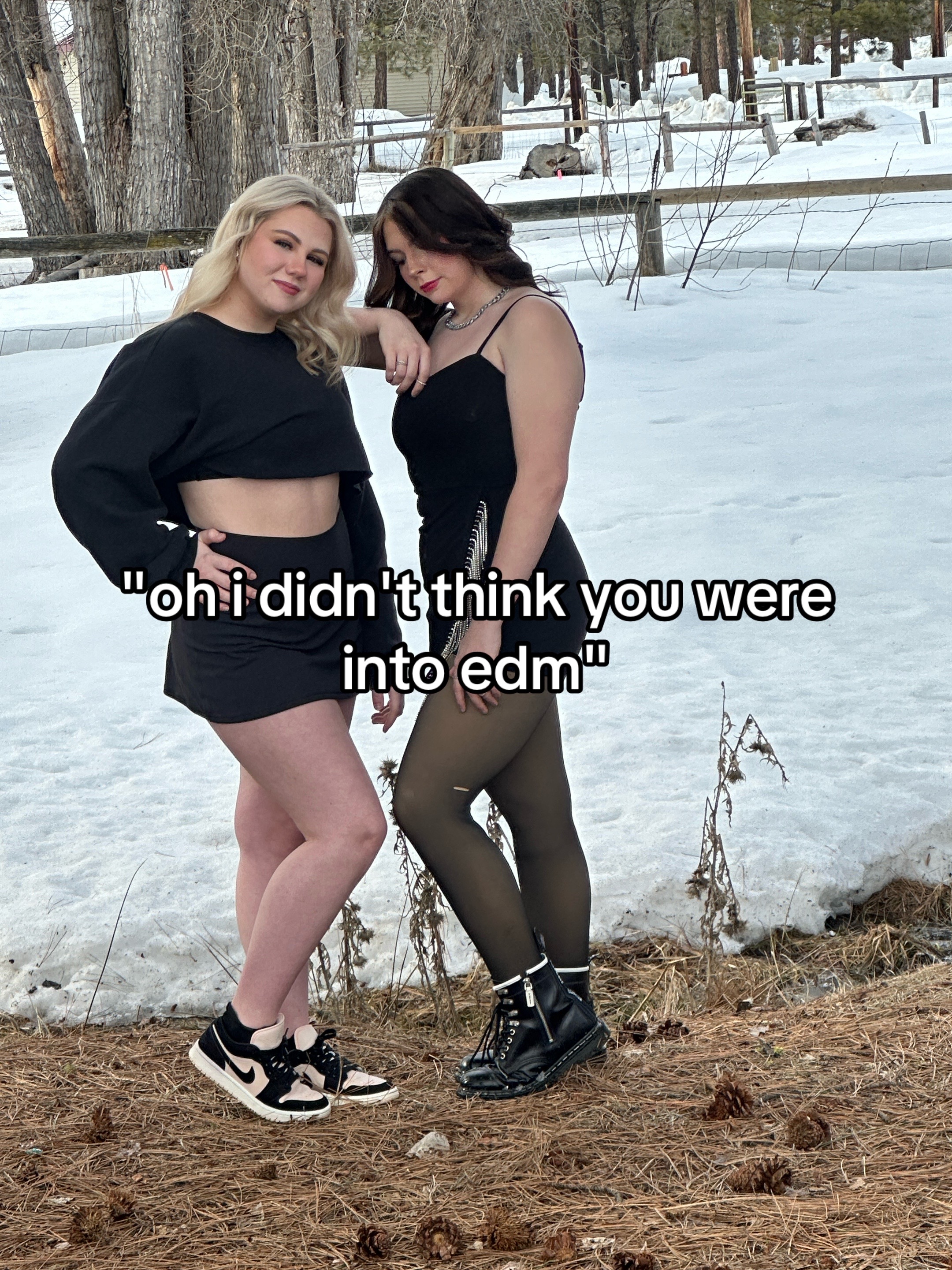 @allycat🐈&zwj;⬛