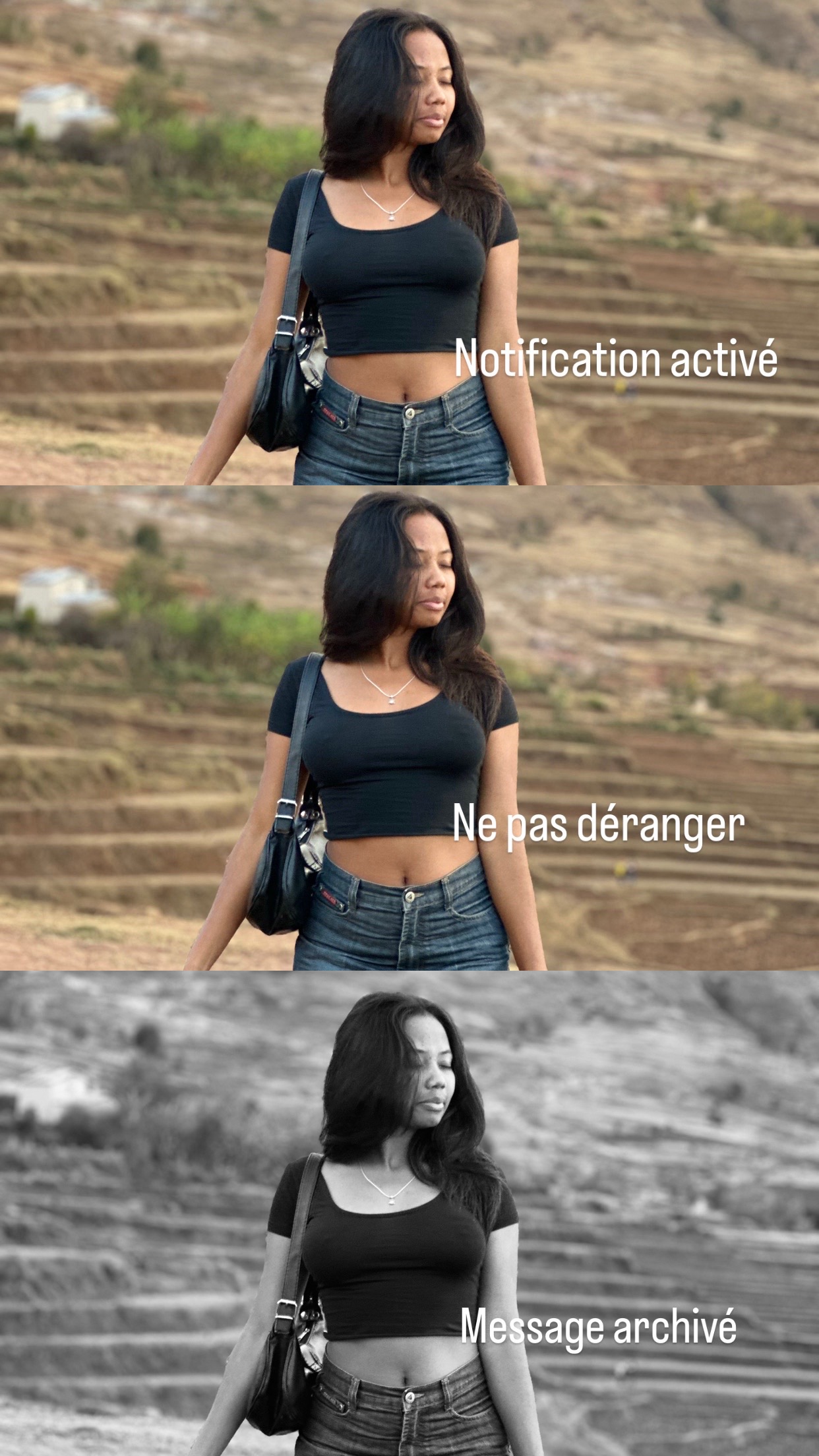 @el.ricaah