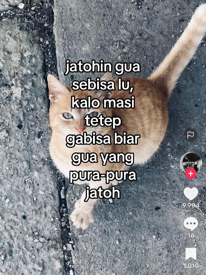 @𝗘𝗫𝗢𝗣𝗥𝗢𝗝𝗘𝗖𝗞