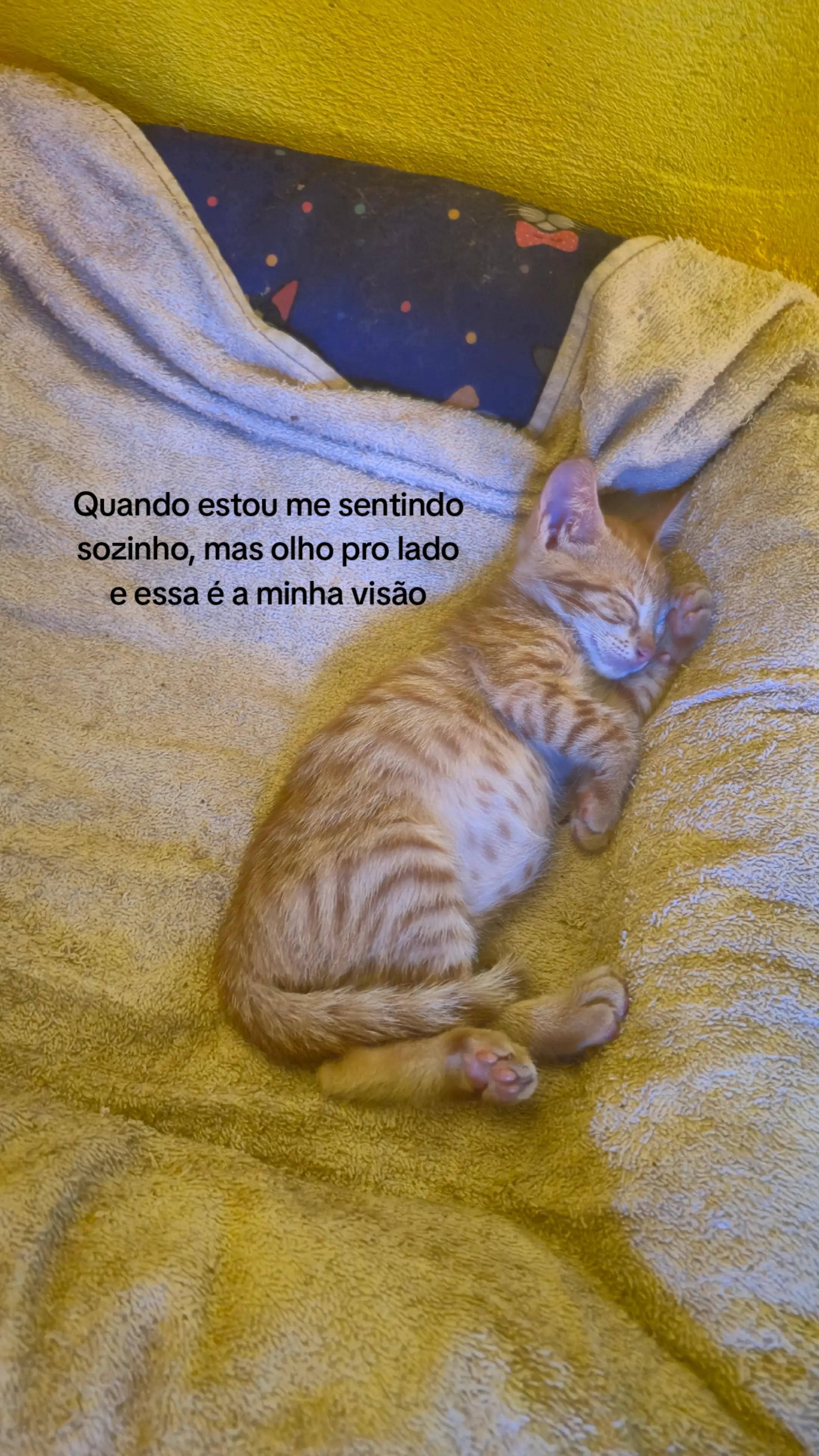 @Wilyan Silva