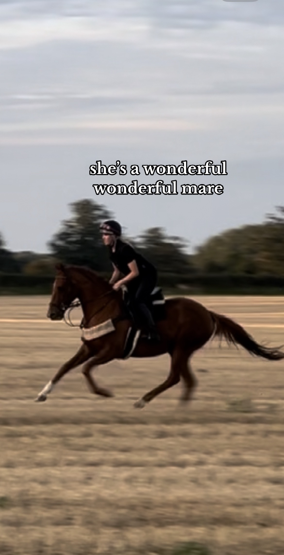 @sophielindsay.eq6