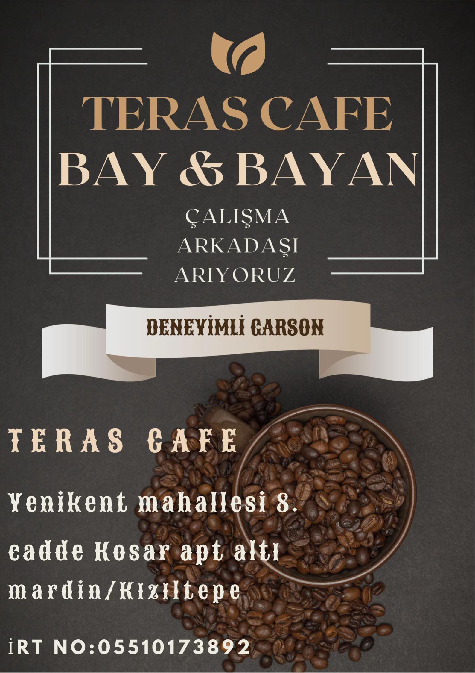 @Metin &Ccedil;elik3447