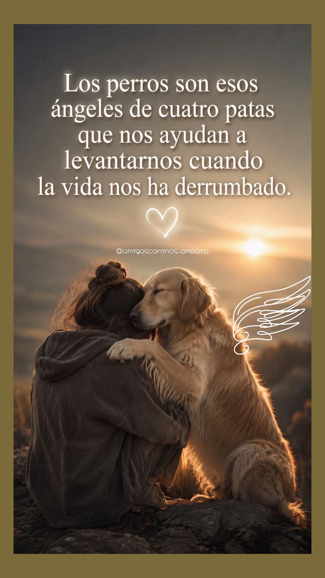 @Amigoscaninos_Ambato