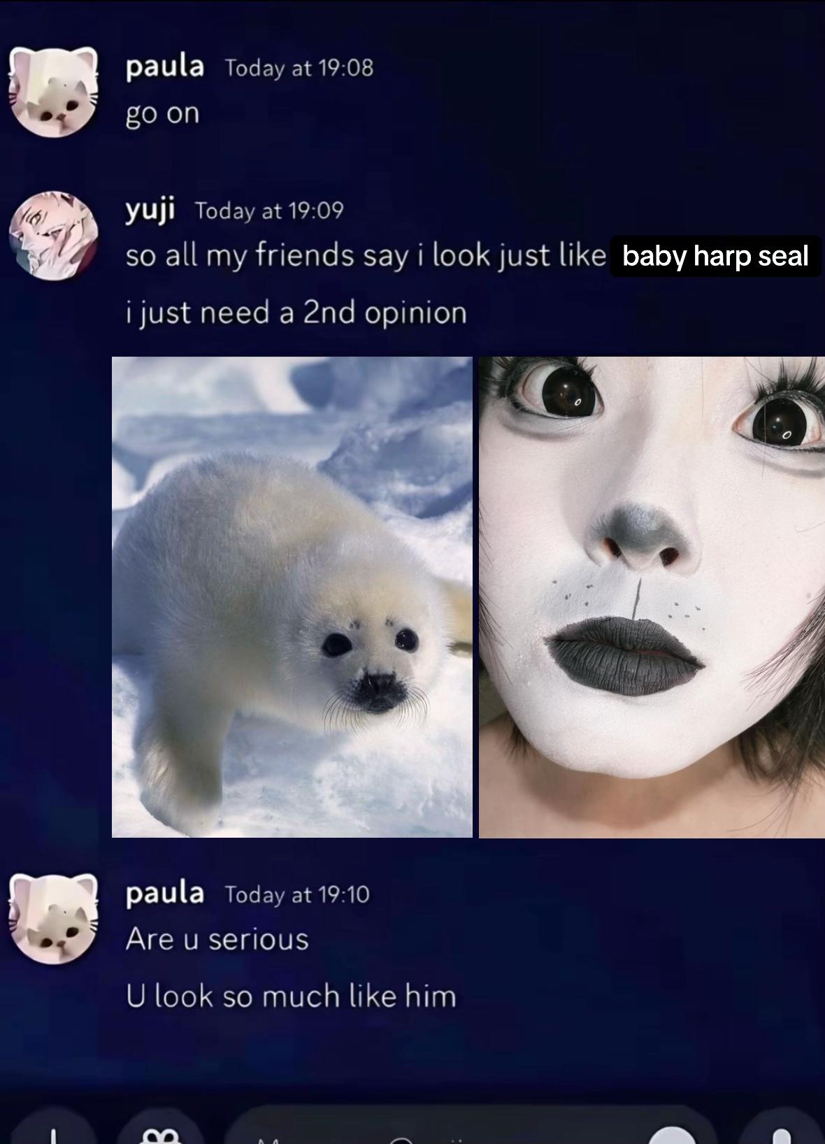 @mori ✧