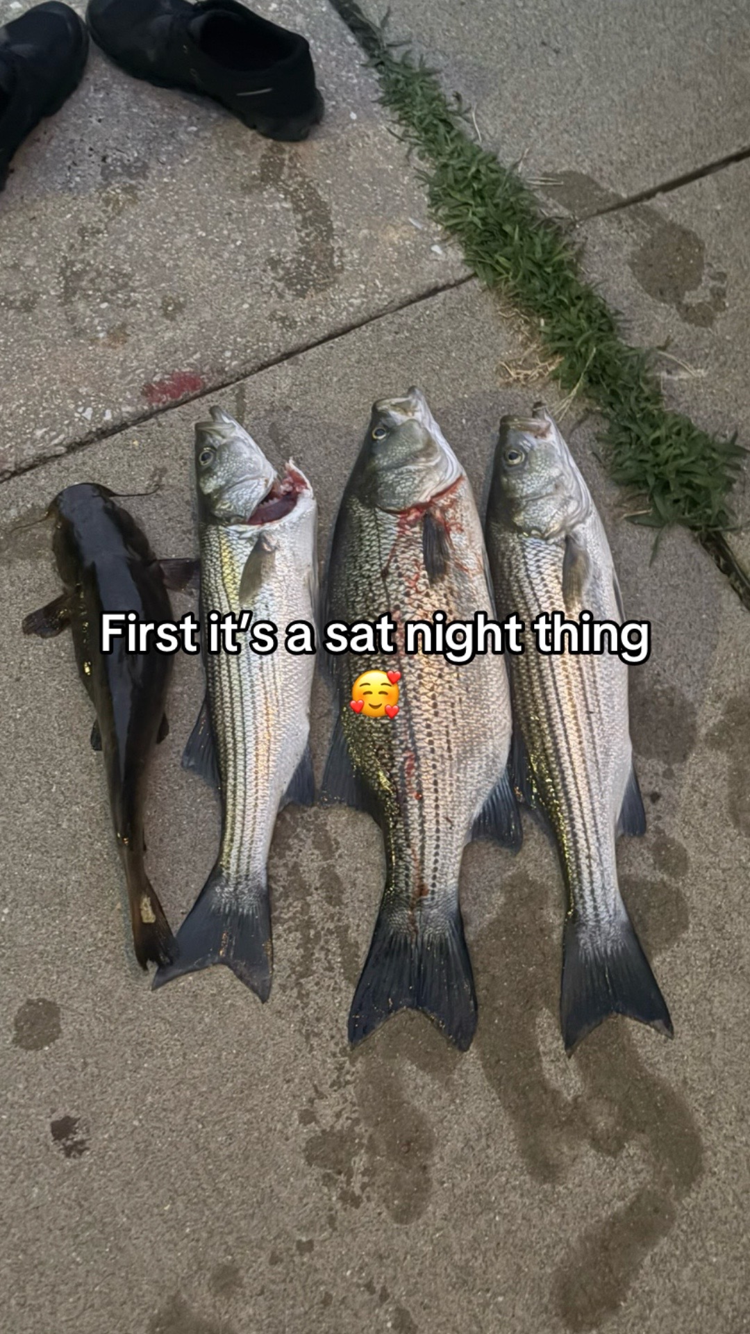 @baltimorebanditfishing