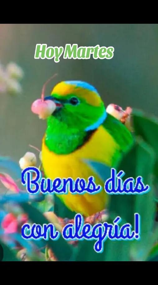 @🦋Ivonnsalasguzman🦋