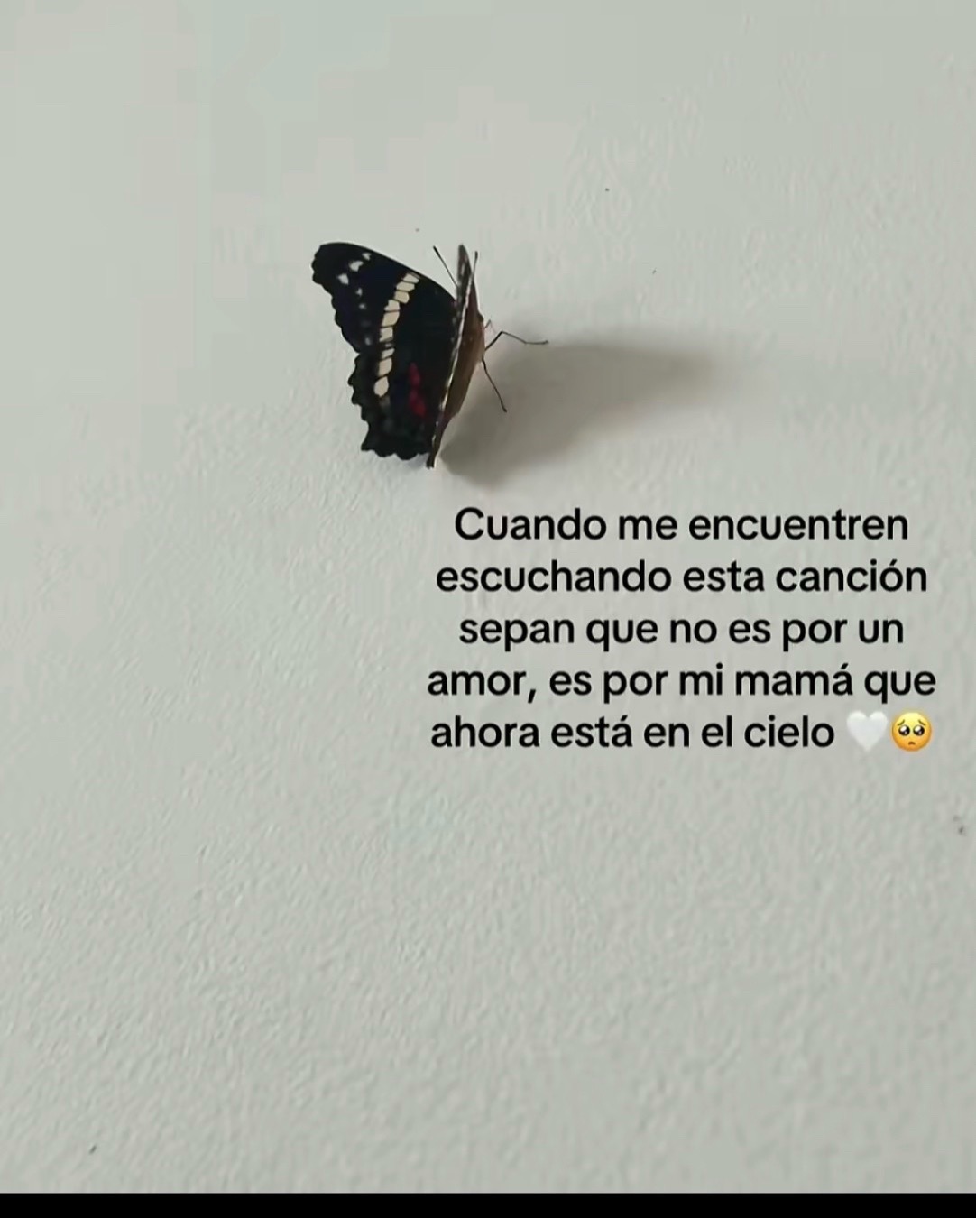 @Yoly🕷️