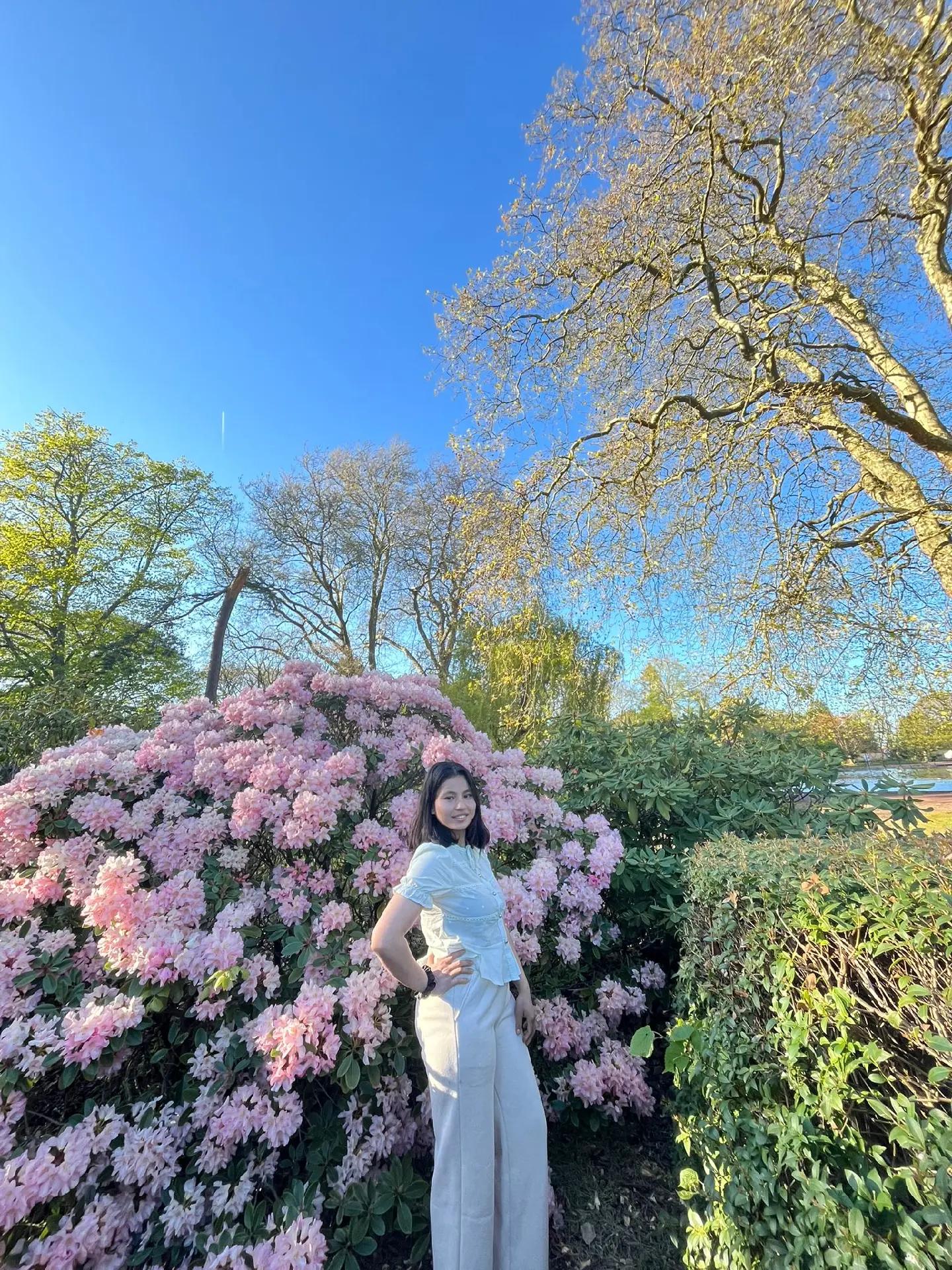 @Arati 🇳🇵💗