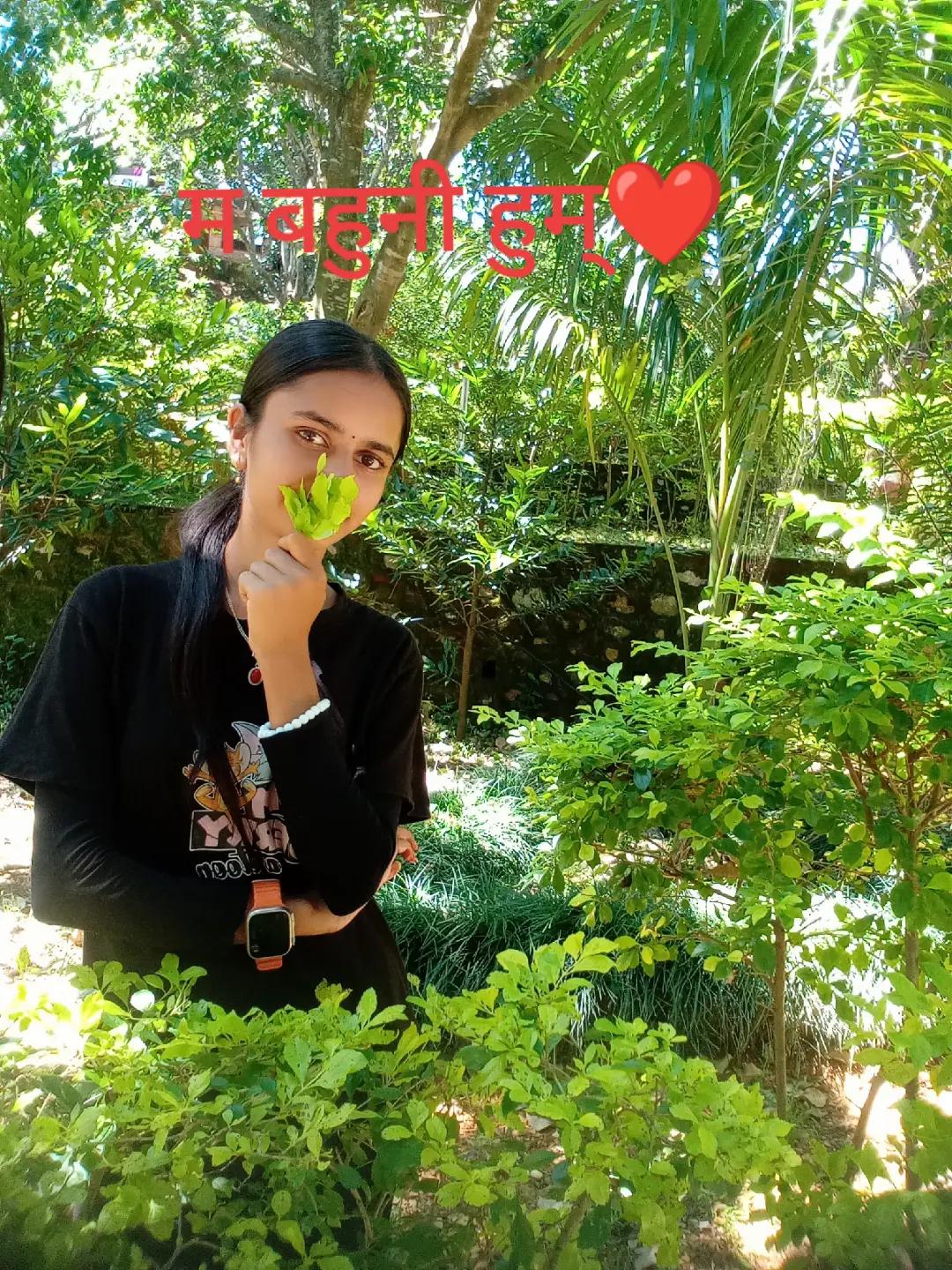 @Ashu_Don....🌸😎🇳🇵🇳🇵