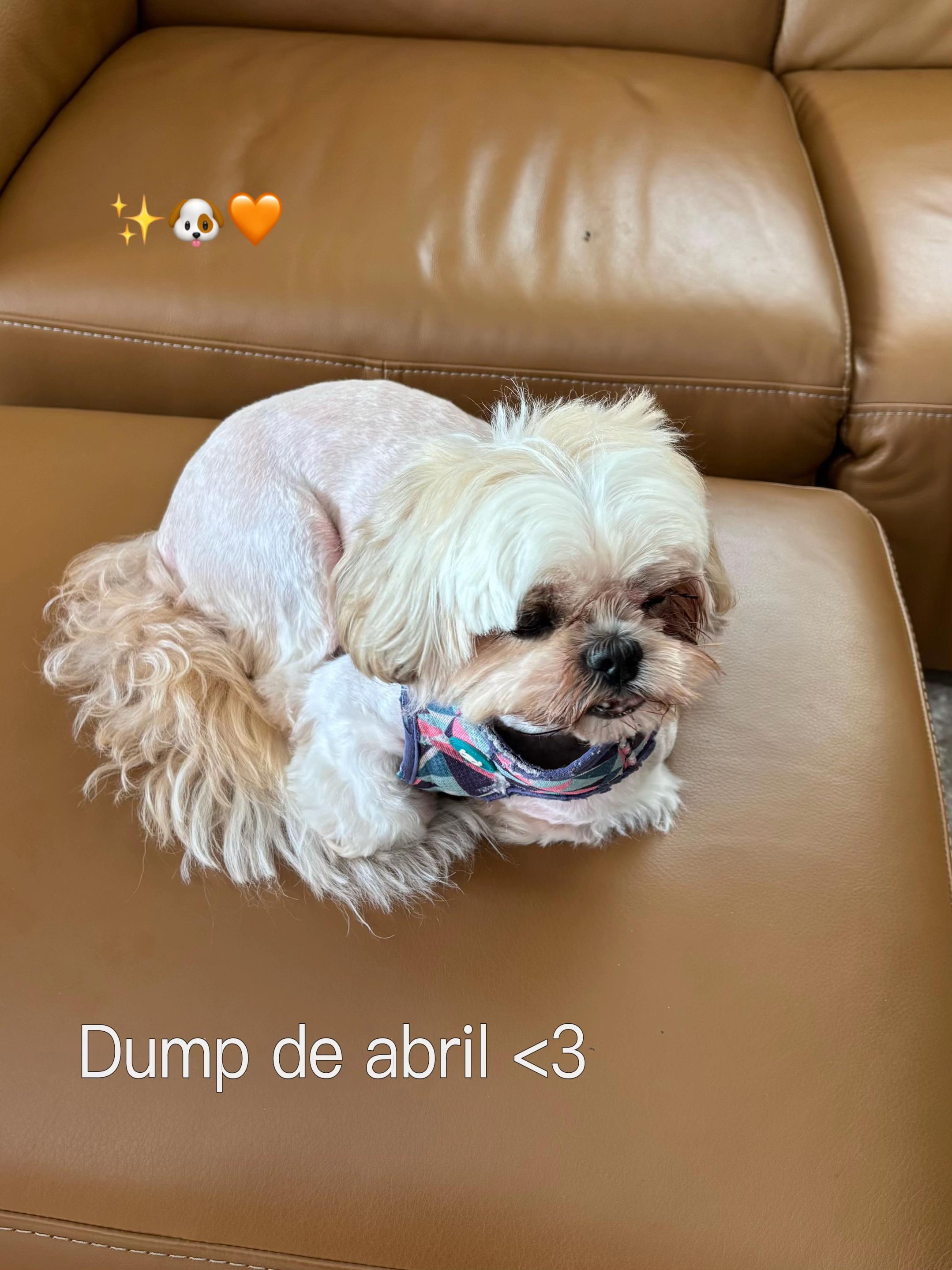 @Claravmp