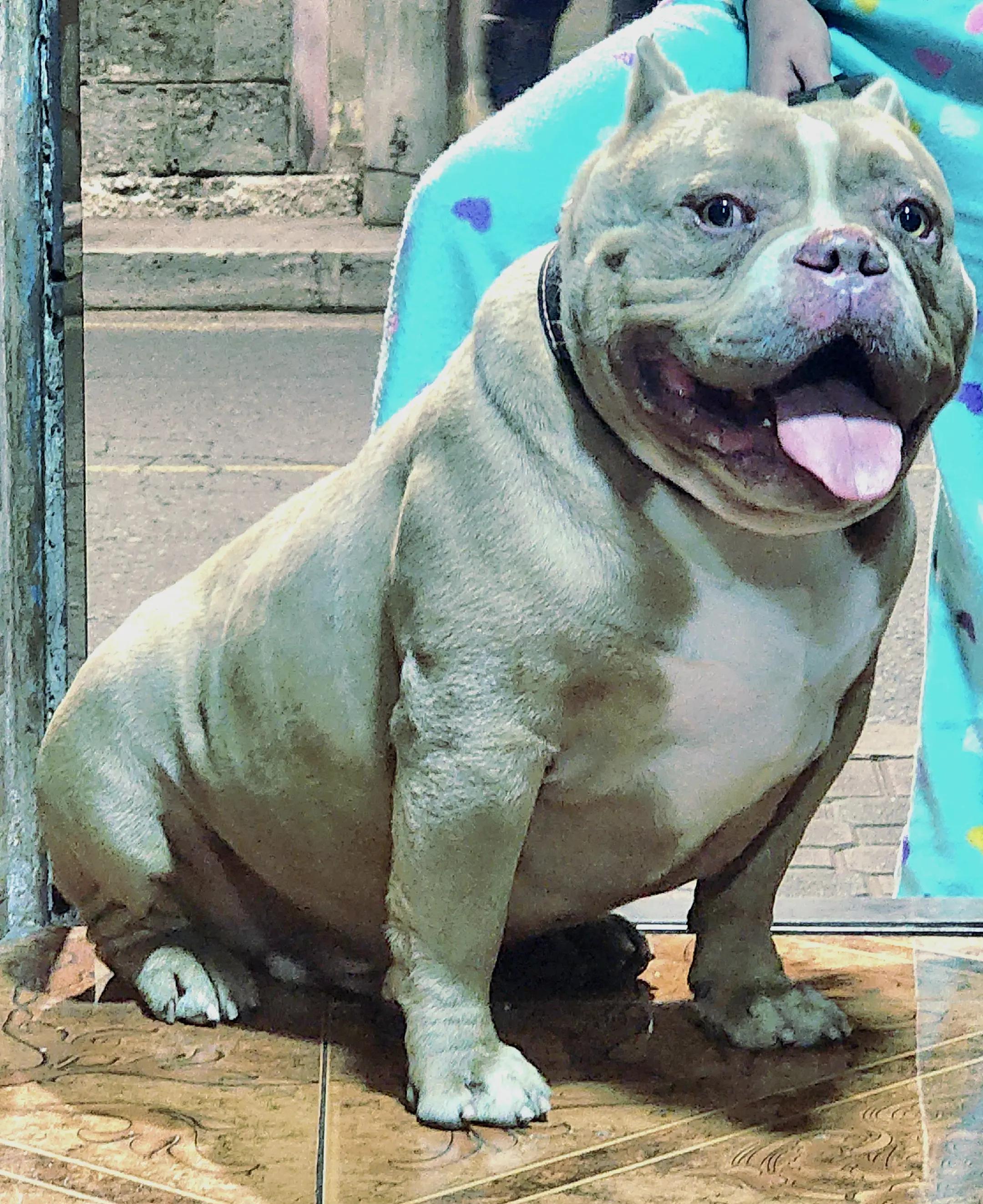 @Kratos kennel