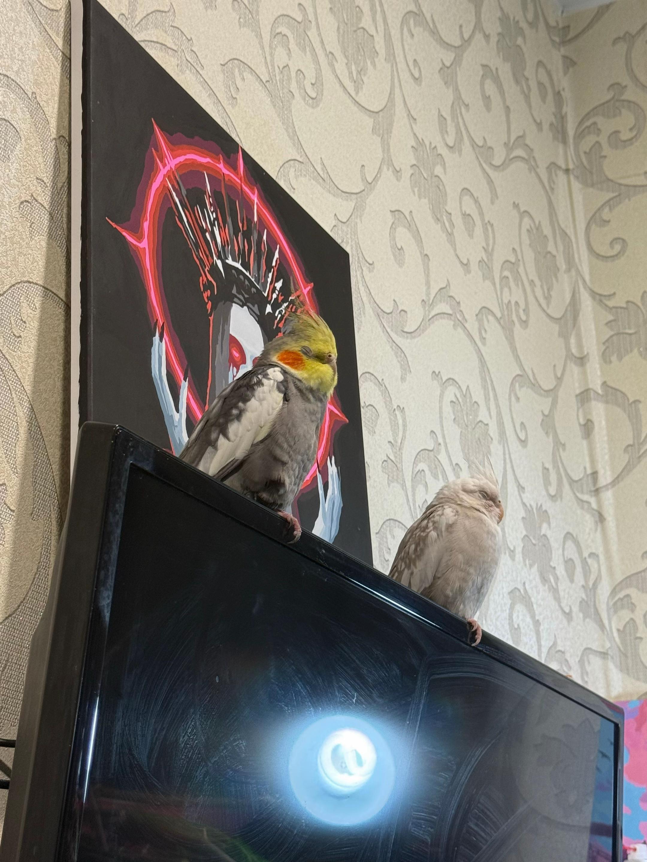 @𝓘𝓛𝓐𝓝𝓐 and Lelik