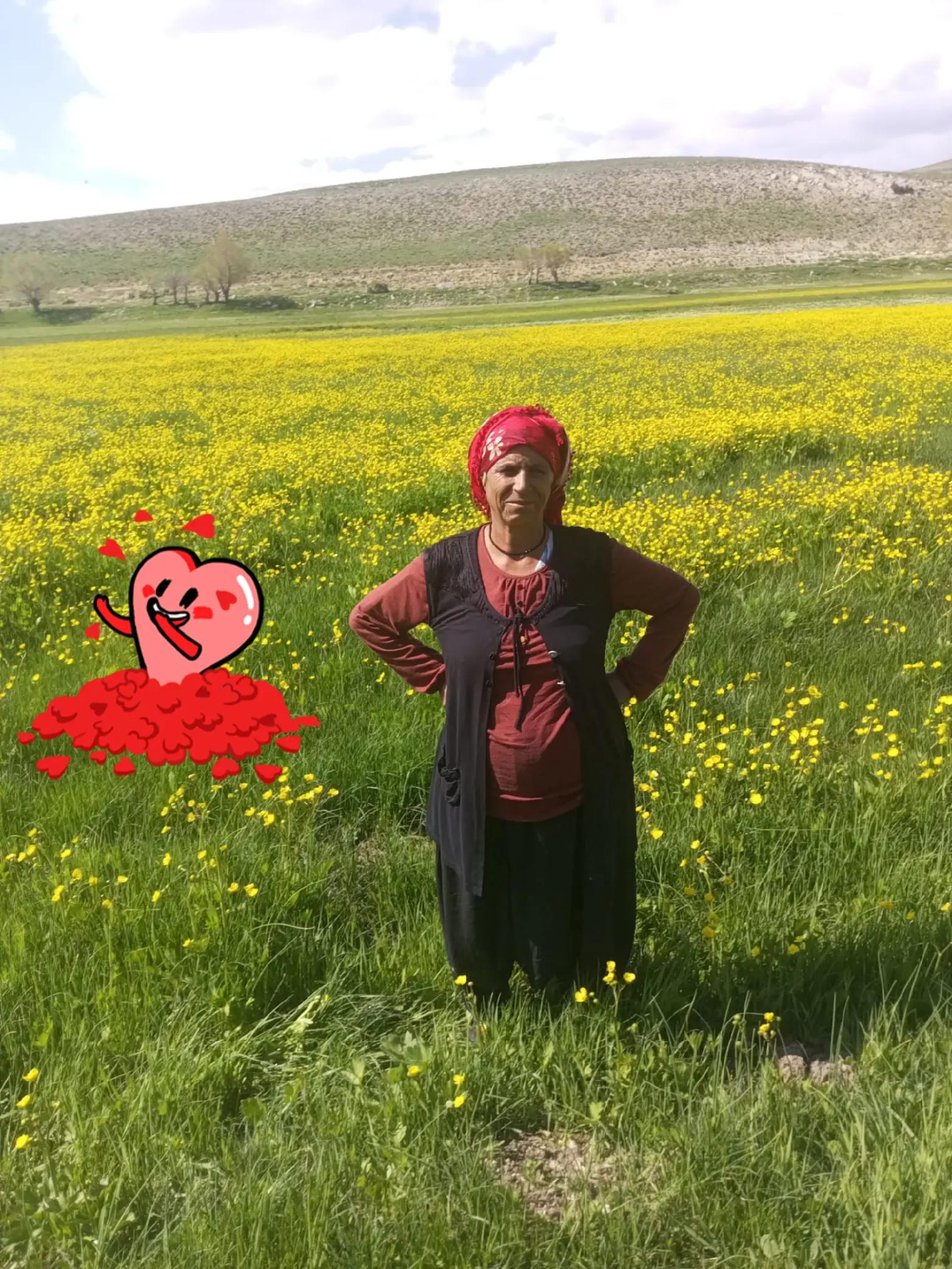 @Ruzgar Ergüder